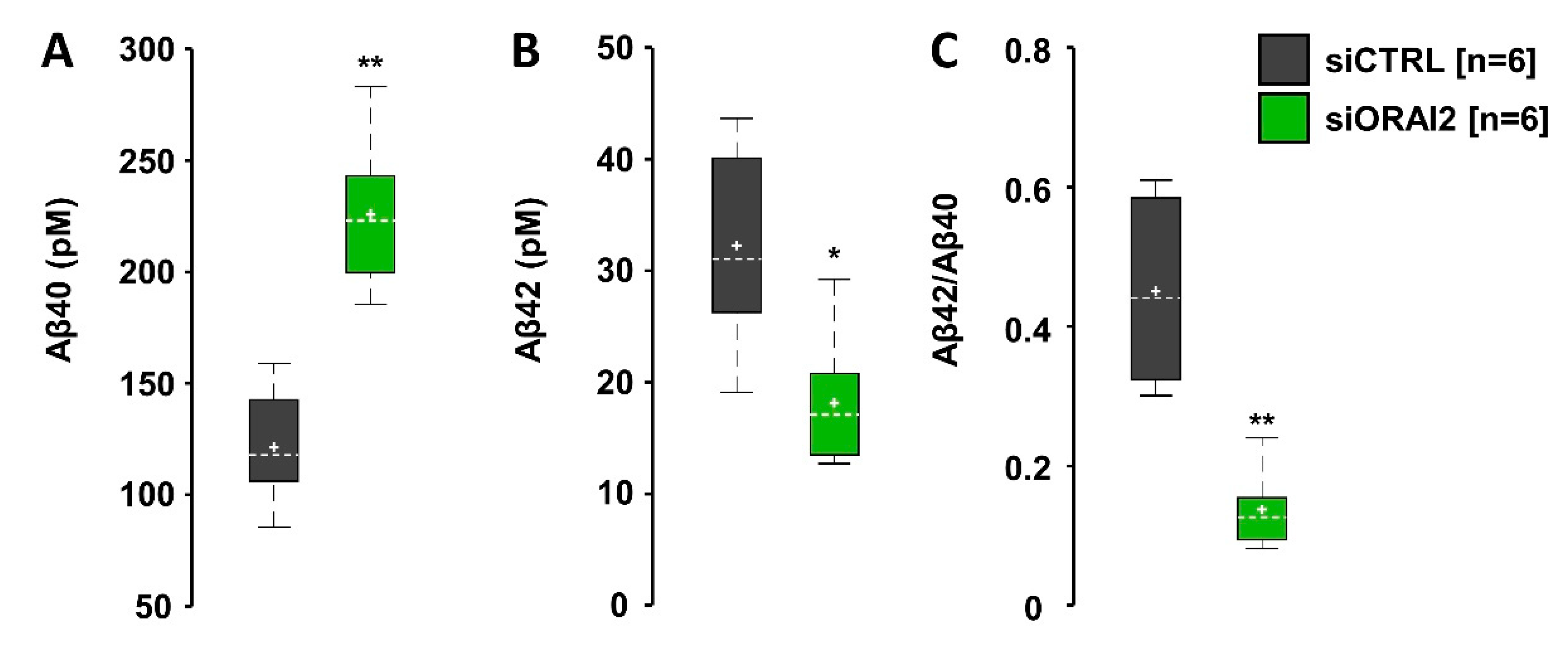 Ijms 21 05288 g007 Ijms 21 05288 g007