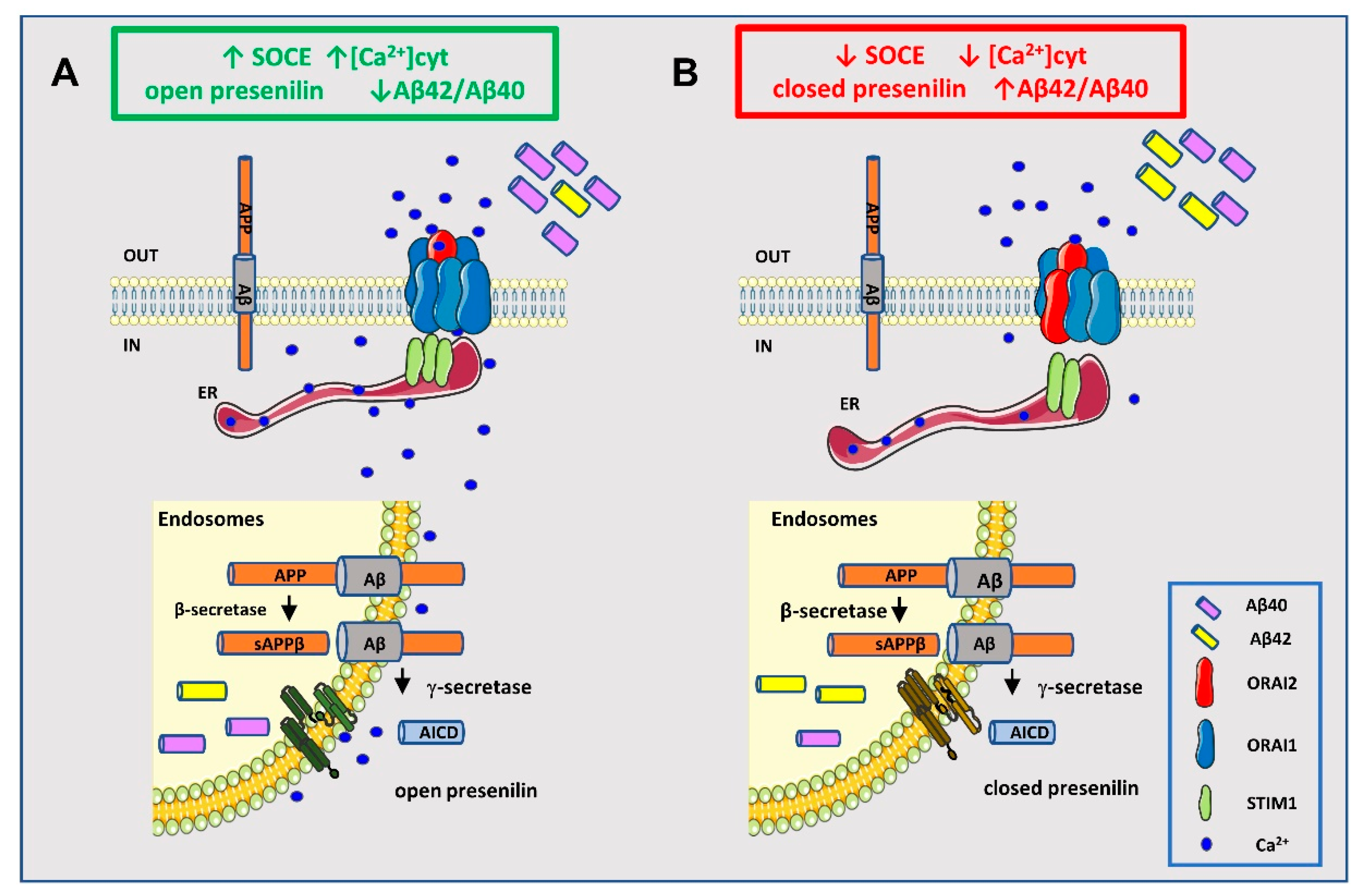 Ijms 21 05288 g008 Ijms 21 05288 g008