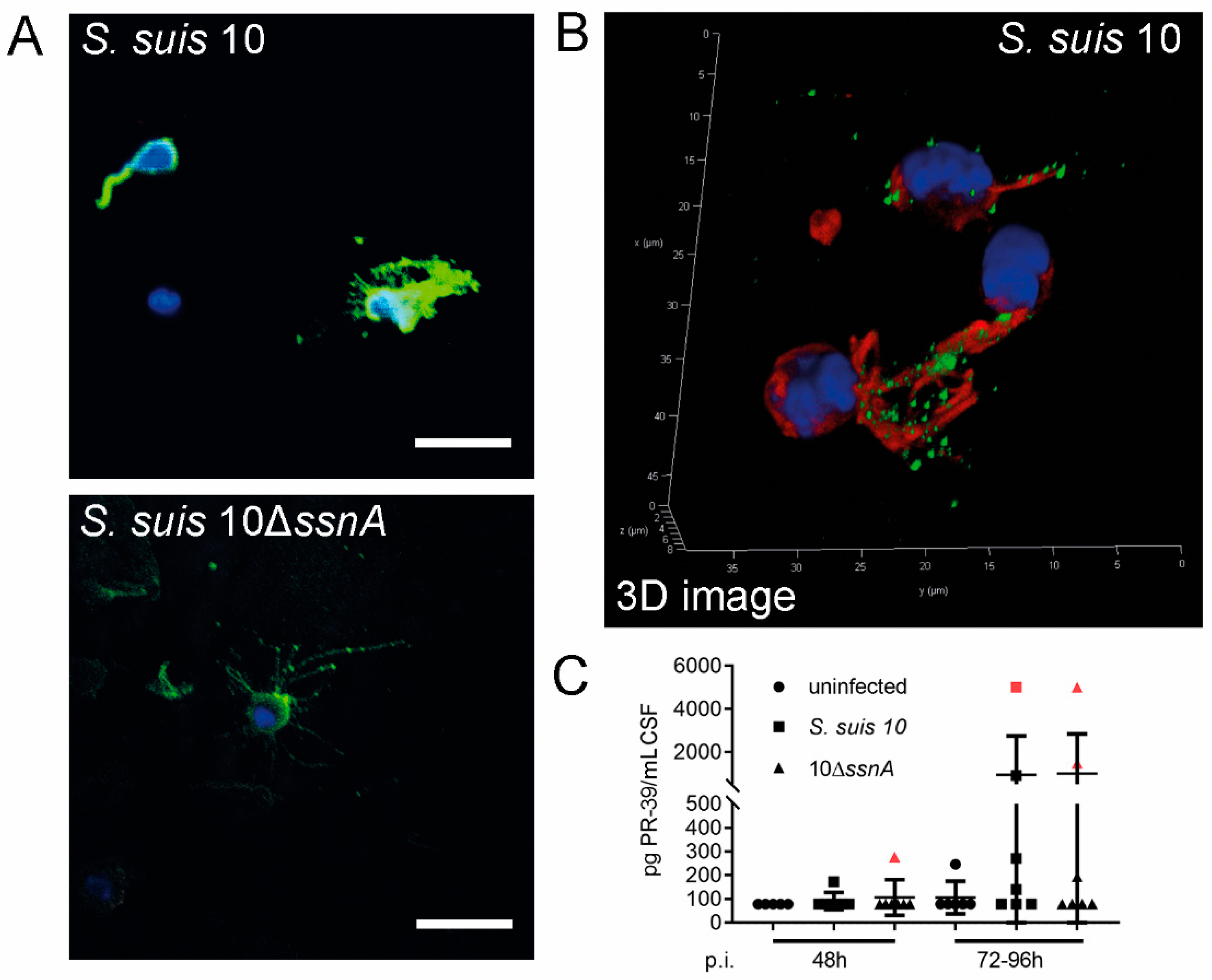 Ijms 21 05289 g002 Ijms 21 05289 g002