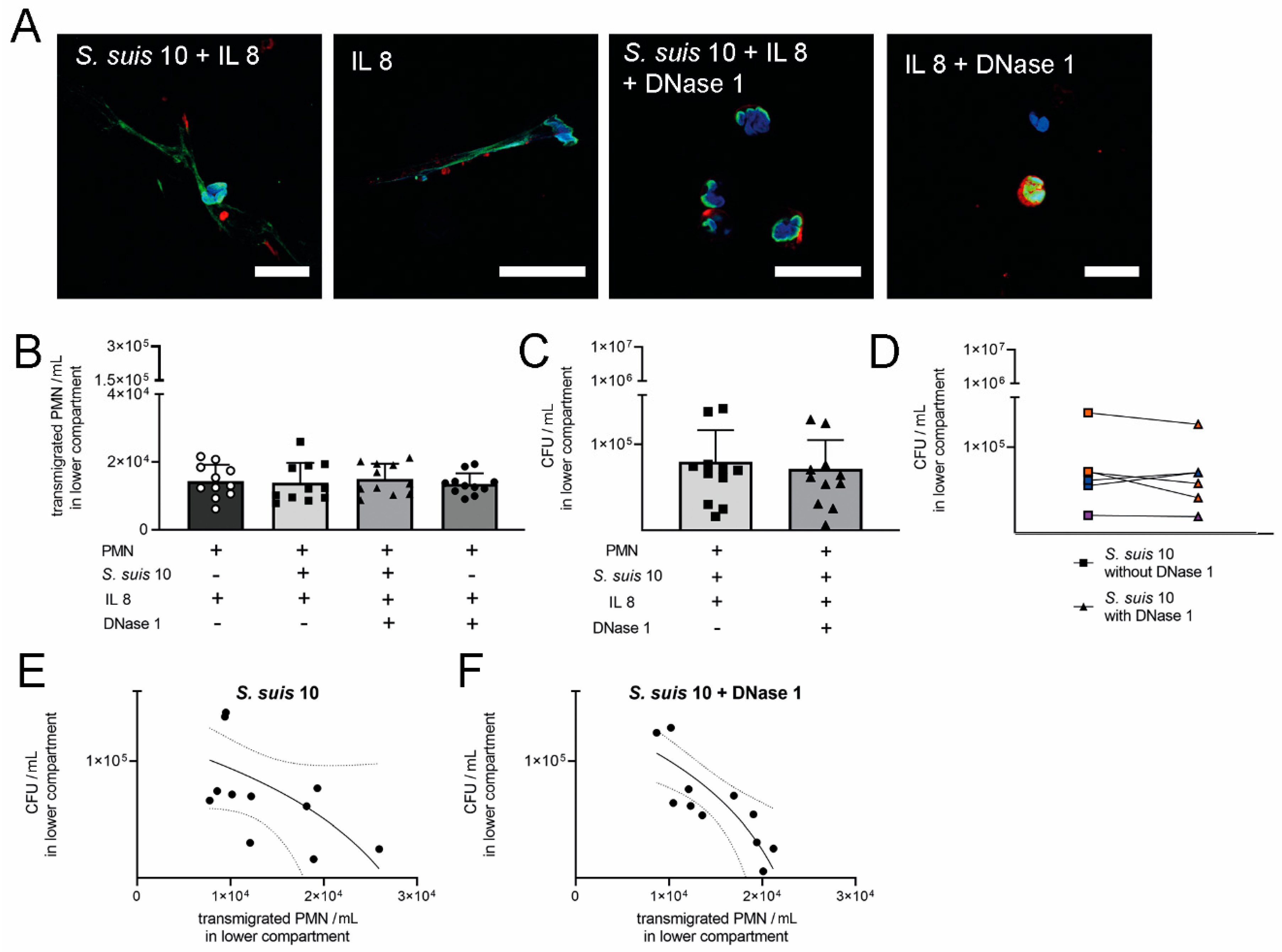 Ijms 21 05289 g007 Ijms 21 05289 g007
