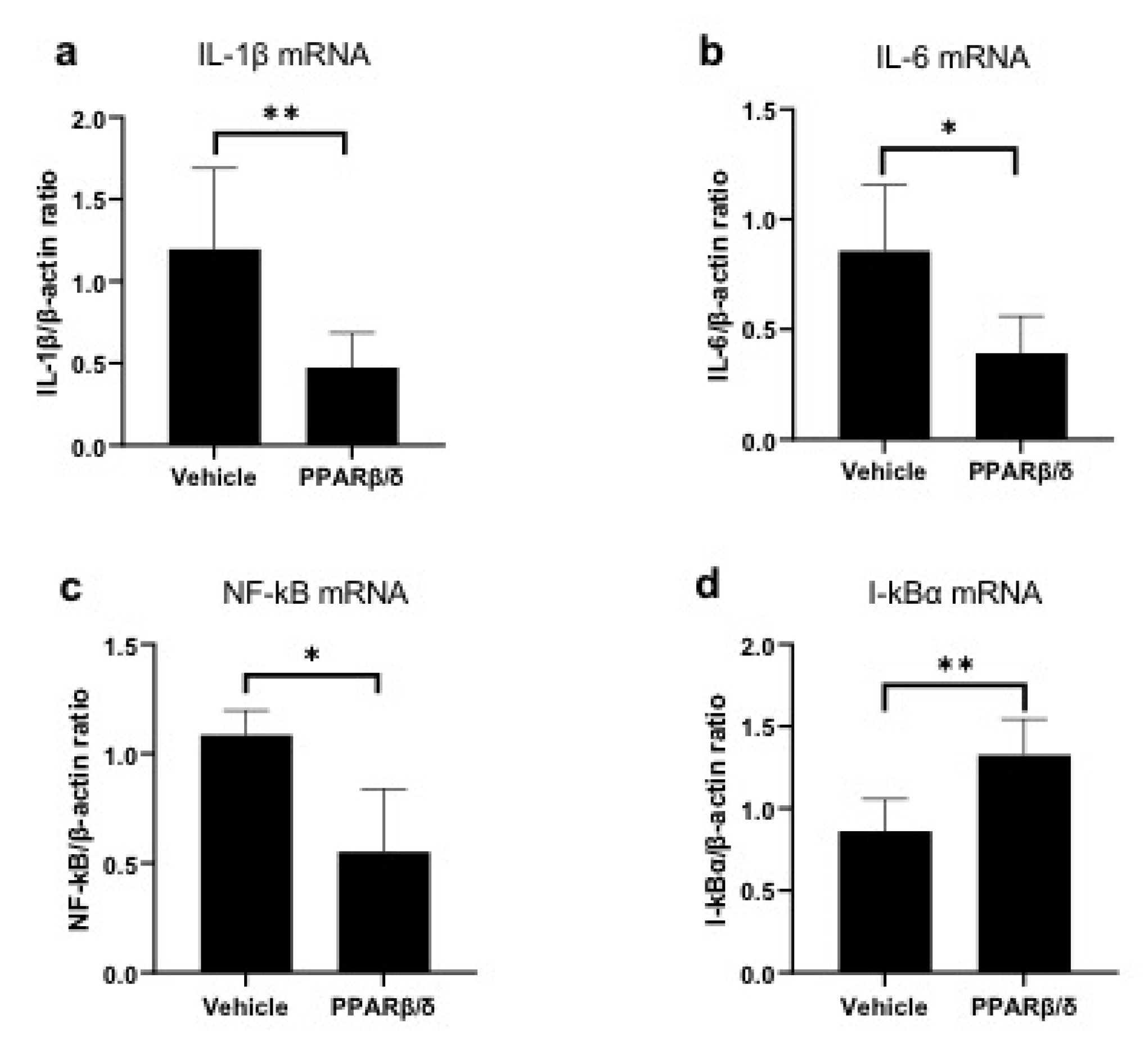 Ijms 21 05296 g005 Ijms 21 05296 g005