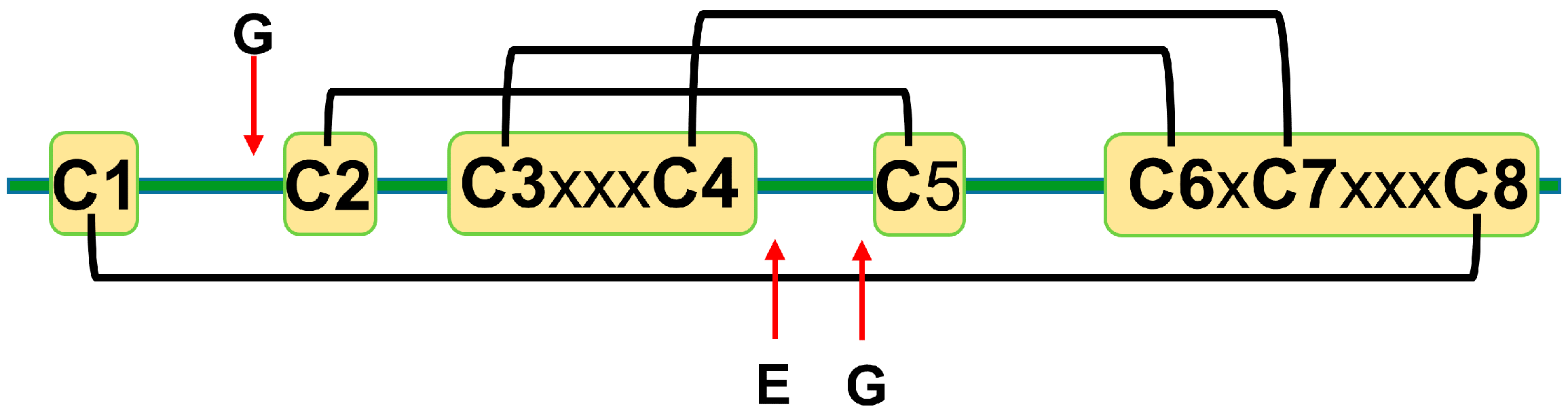 Ijms 21 05307 g001 Ijms 21 05307 g001