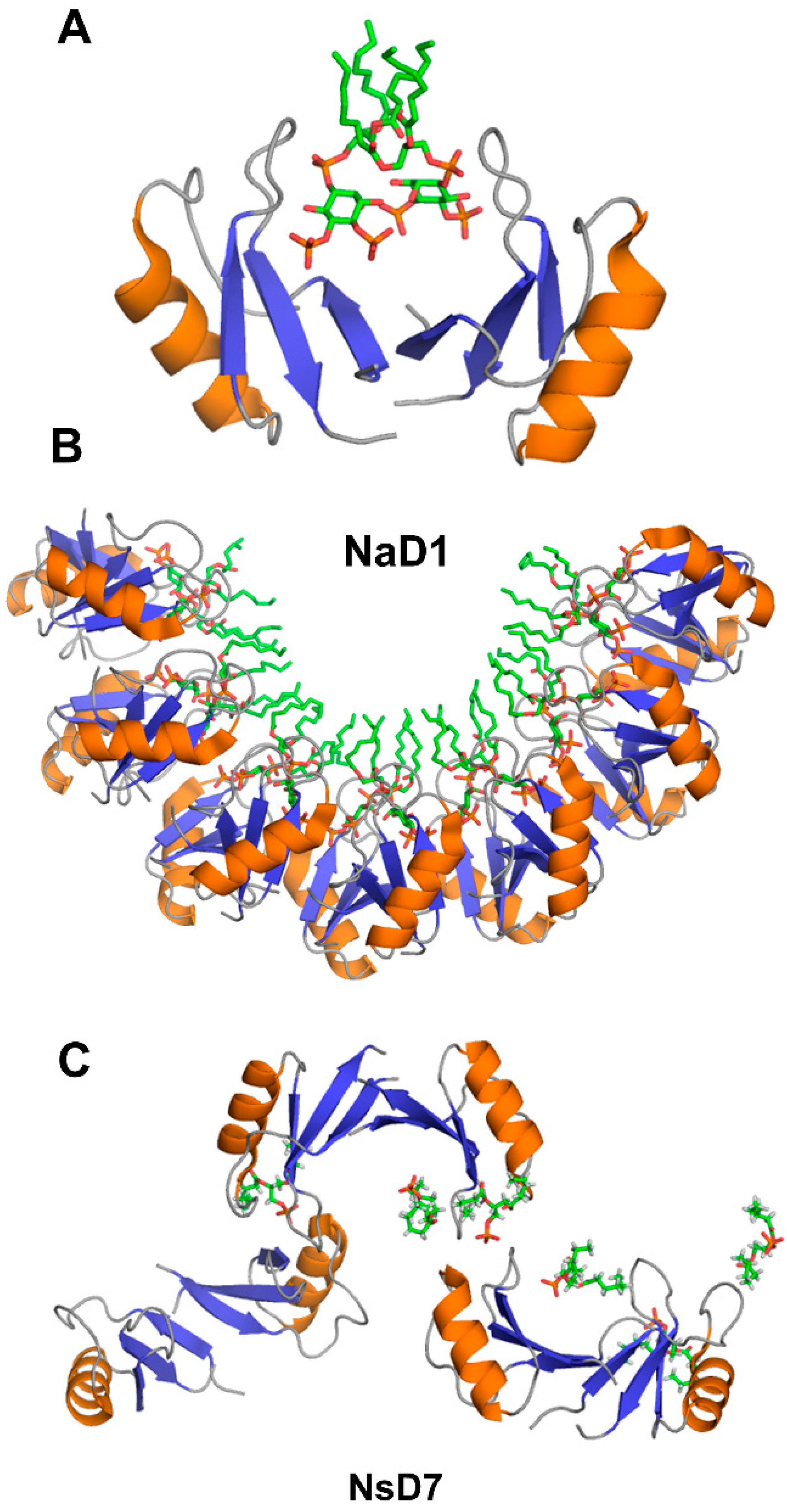 Ijms 21 05307 g005 Ijms 21 05307 g005