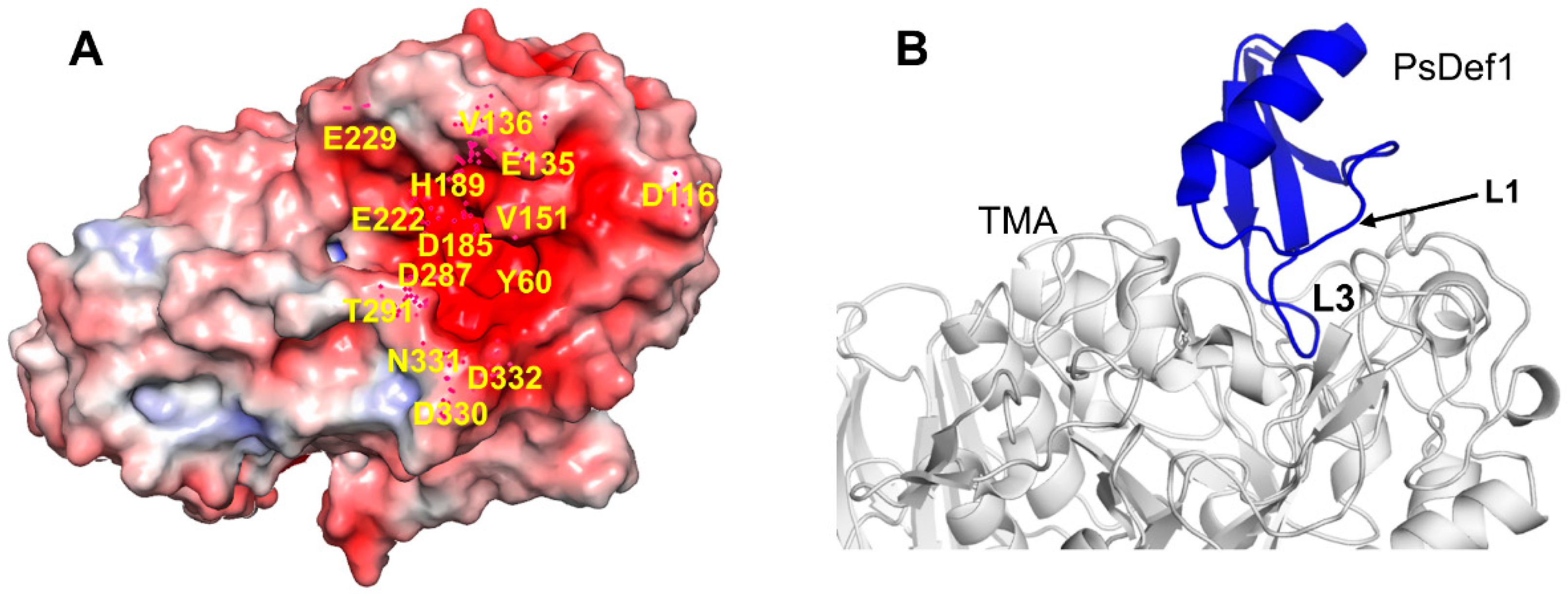 Ijms 21 05307 g007 Ijms 21 05307 g007