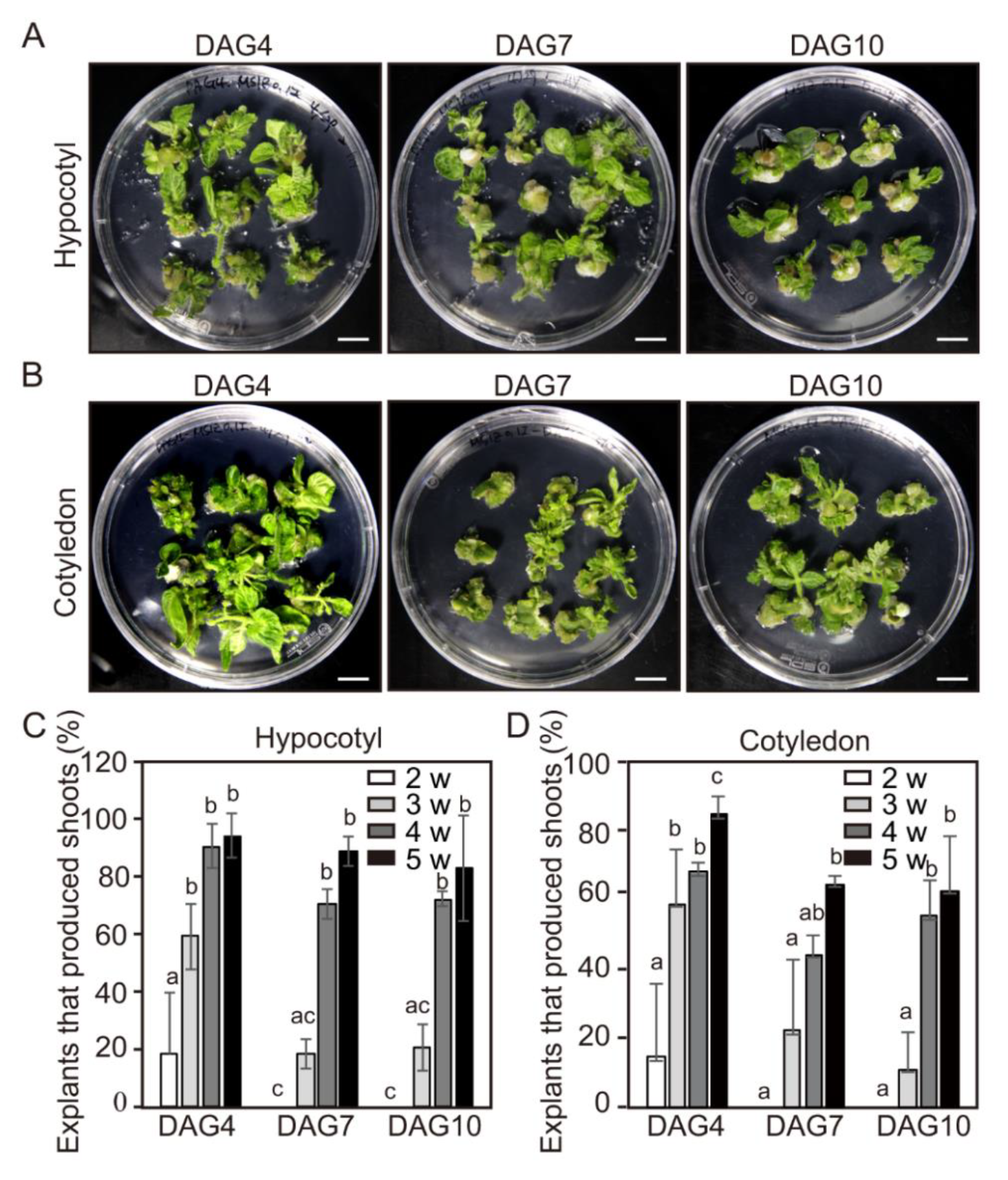 Ijms 21 05309 g002 Ijms 21 05309 g002