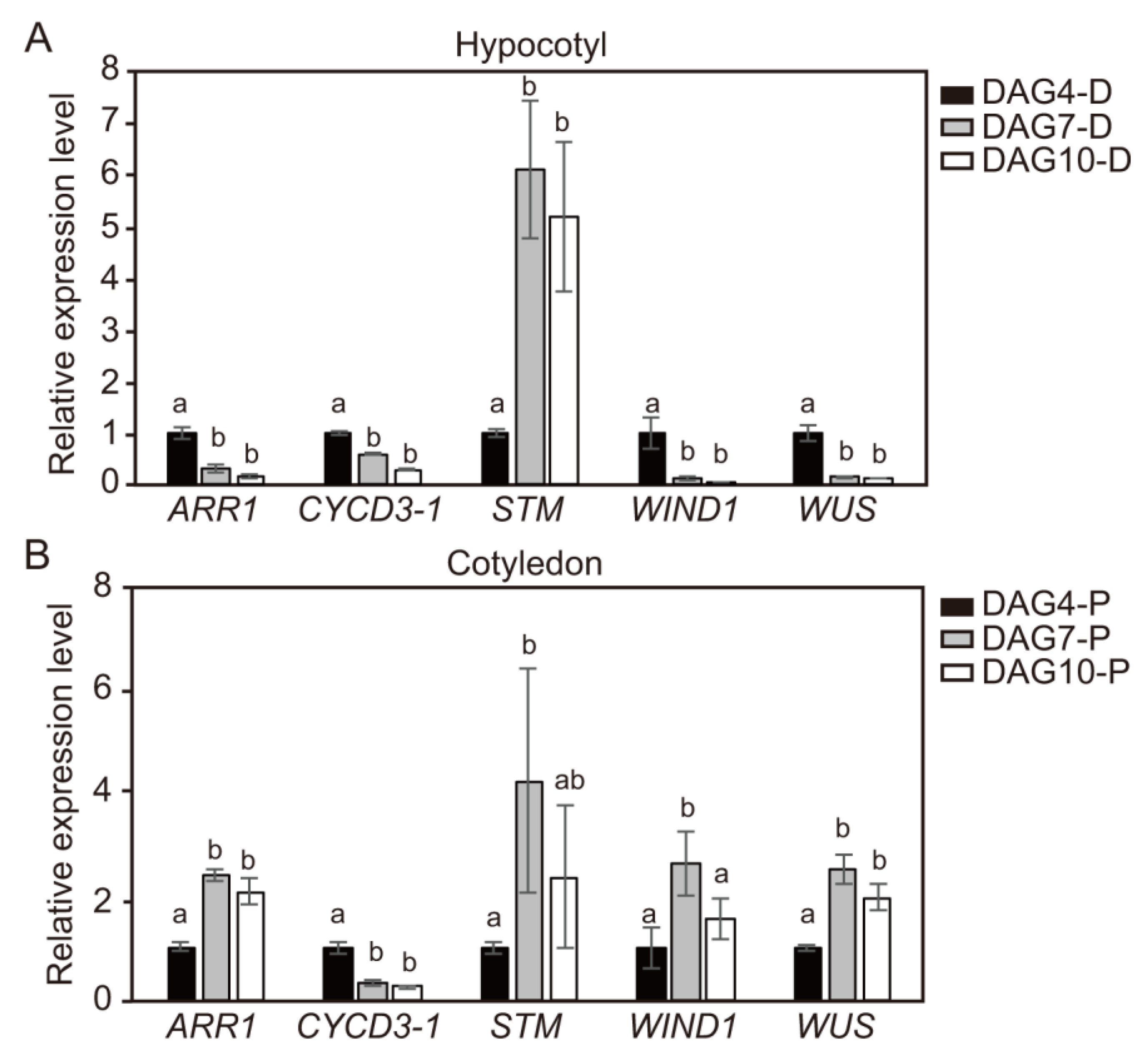 Ijms 21 05309 g004 Ijms 21 05309 g004