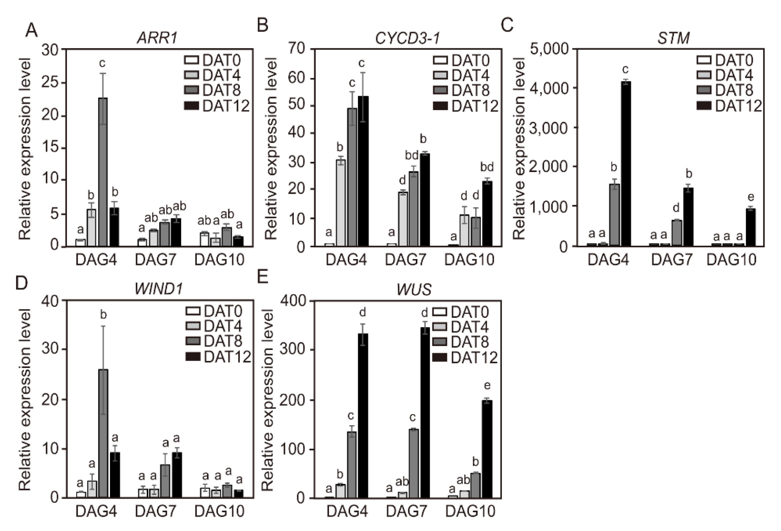 Ijms 21 05309 g005 Ijms 21 05309 g005