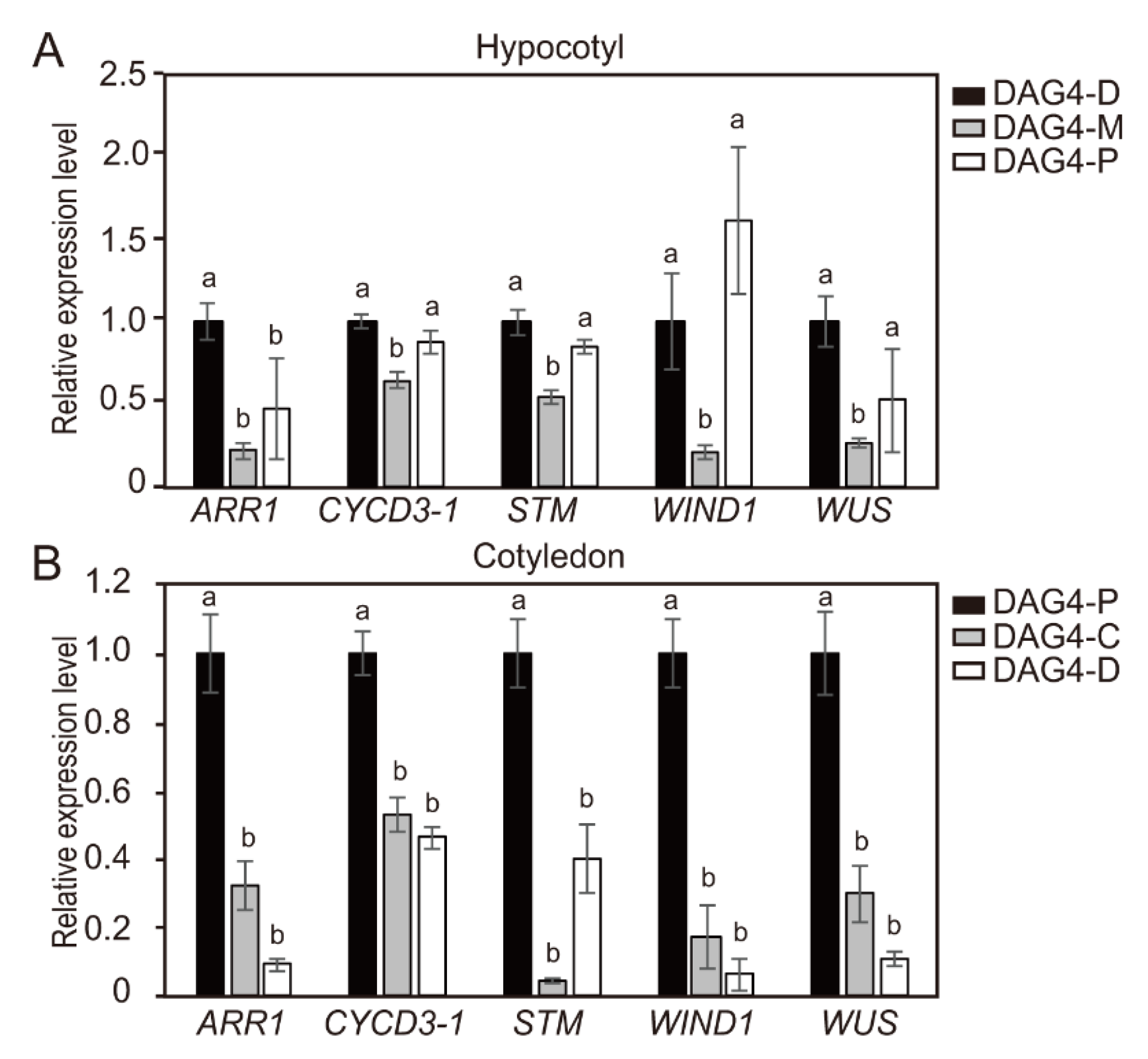 Ijms 21 05309 g006 Ijms 21 05309 g006
