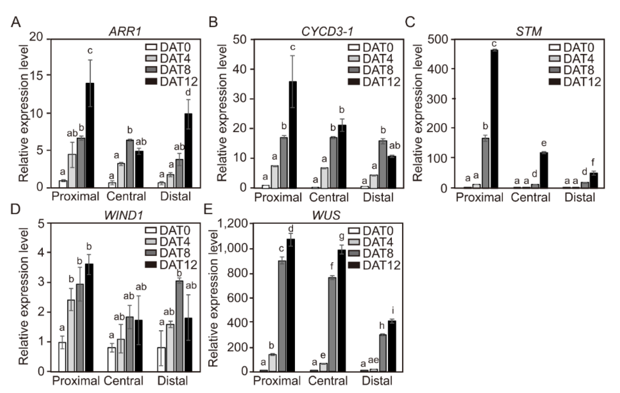 Ijms 21 05309 g008 Ijms 21 05309 g008