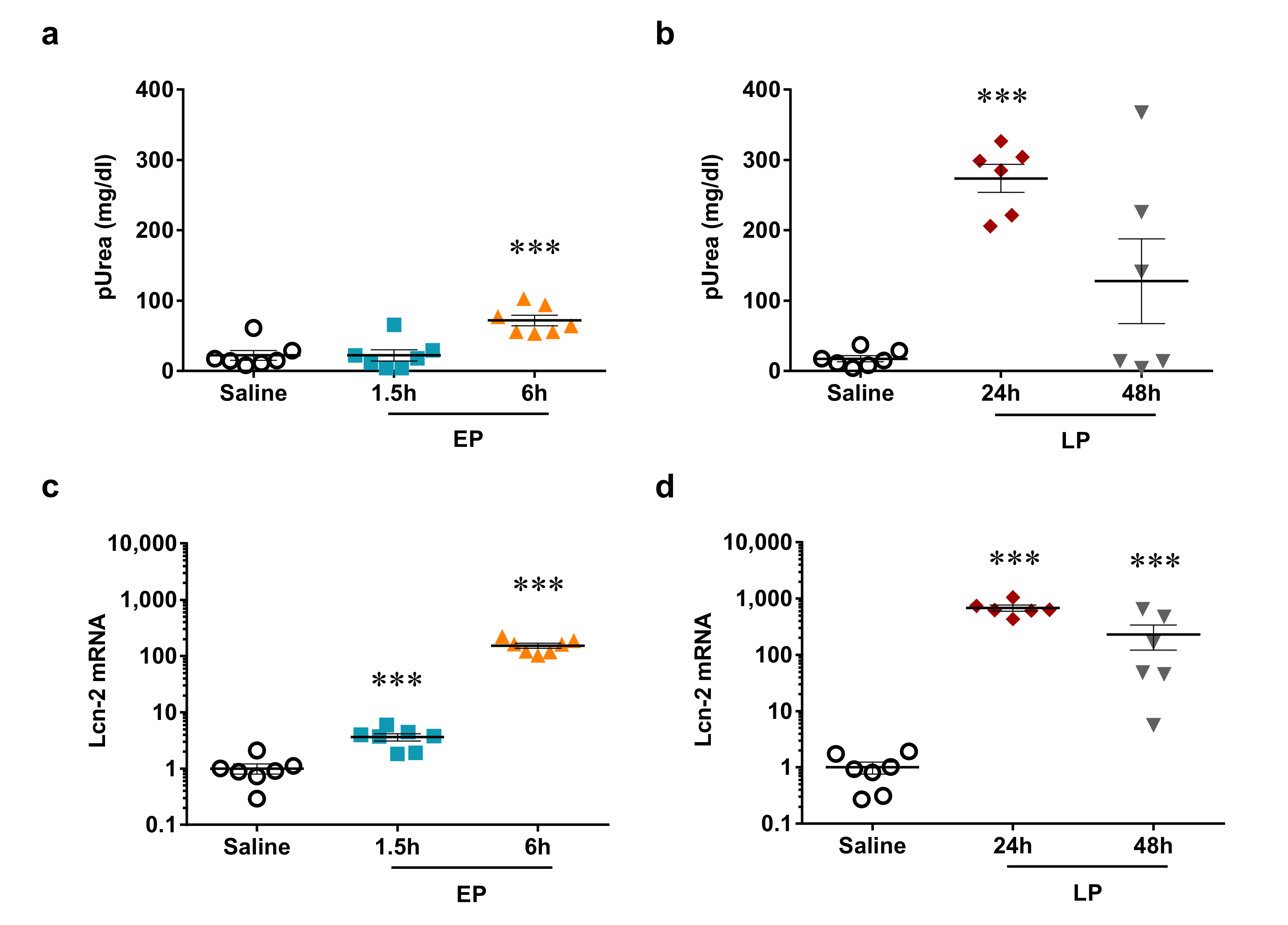 Ijms 21 05316 g002 Ijms 21 05316 g002