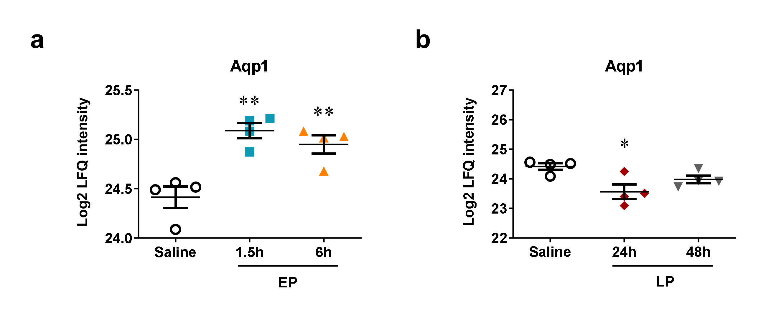 Ijms 21 05316 g008 Ijms 21 05316 g008