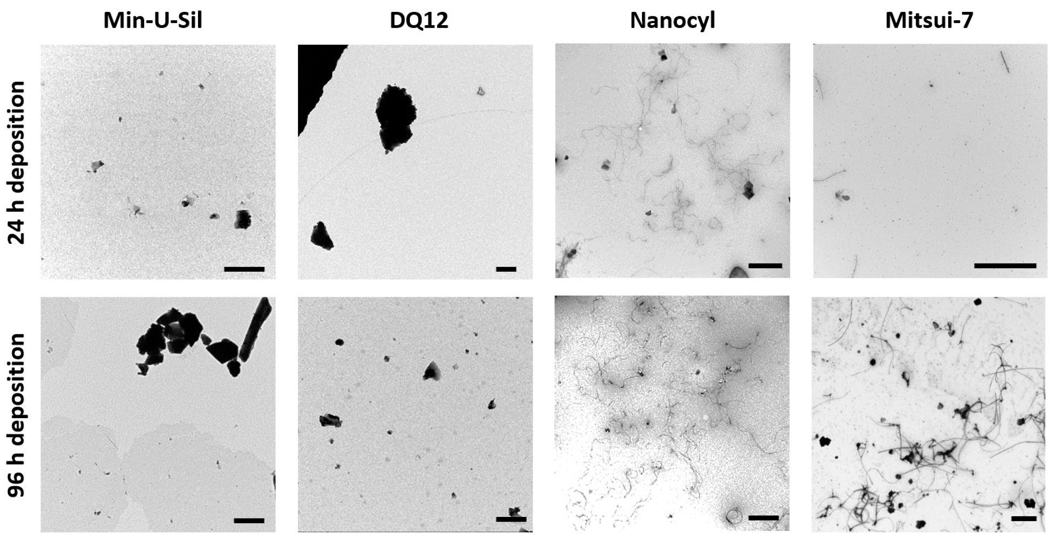 Ijms Free Full Text An In Vitro Lung System To Assess The Proinflammatory Hazard Of Carbon Nanotube Aerosols Html Ijms Free Full Text An In Vitro Lung System To Assess The Proinflammatory Hazard Of Carbon Nanotube Aerosols Html