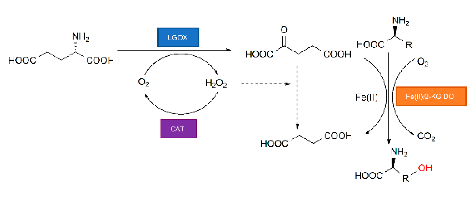Ijms 21 05347 g001 Ijms 21 05347 g001