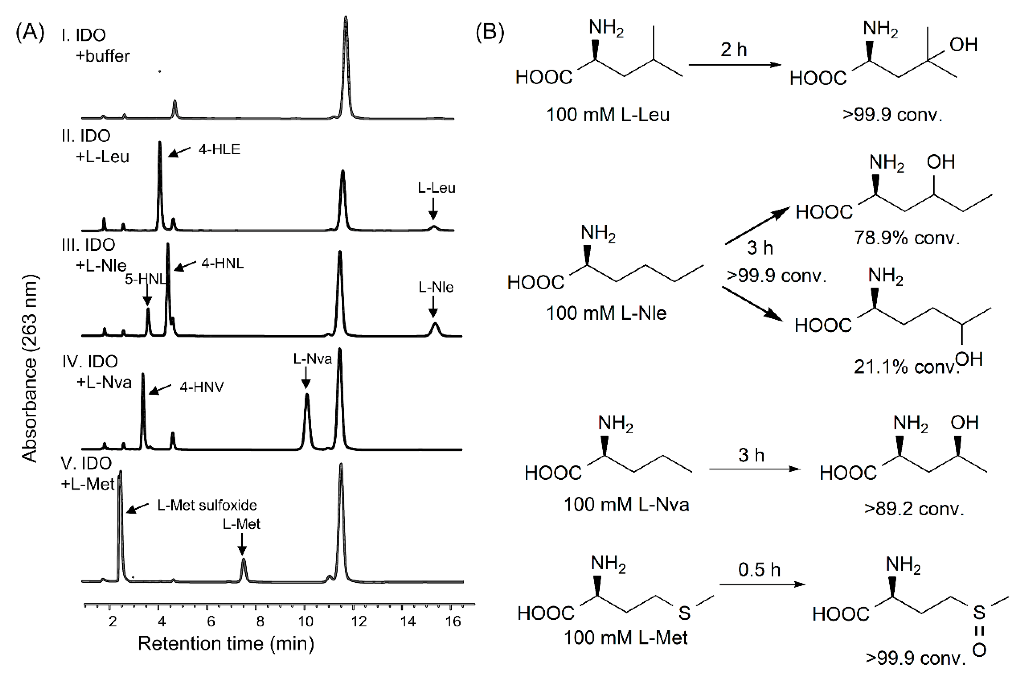 Ijms 21 05347 g007 Ijms 21 05347 g007