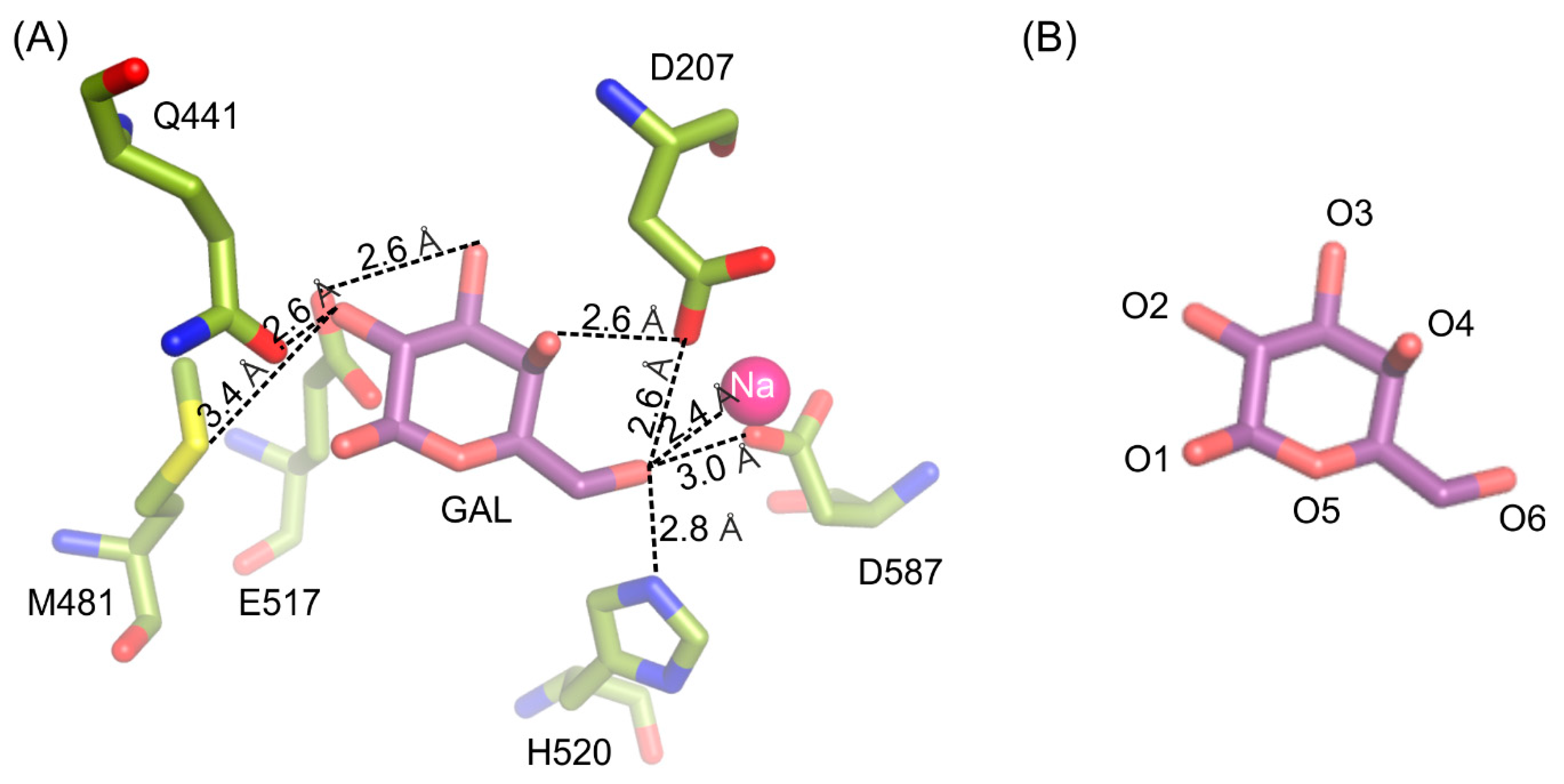 Ijms 21 05354 g002 Ijms 21 05354 g002