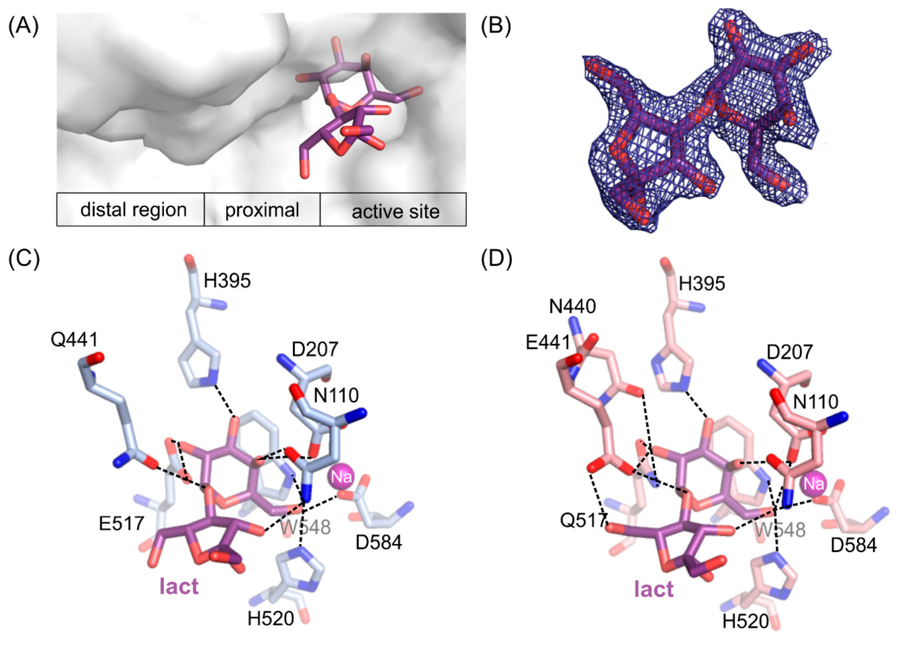 Ijms 21 05354 g005 Ijms 21 05354 g005