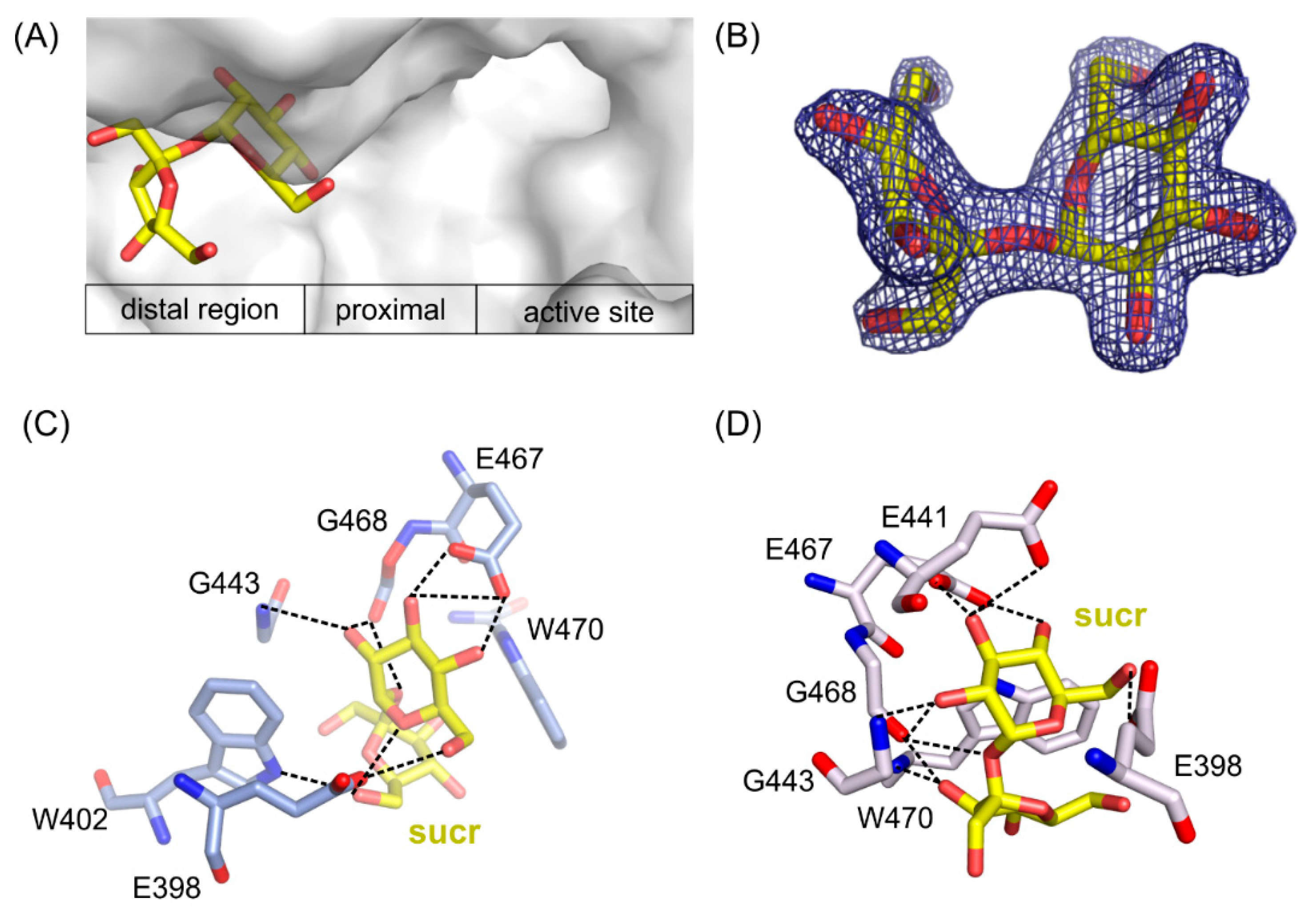 Ijms 21 05354 g006 Ijms 21 05354 g006