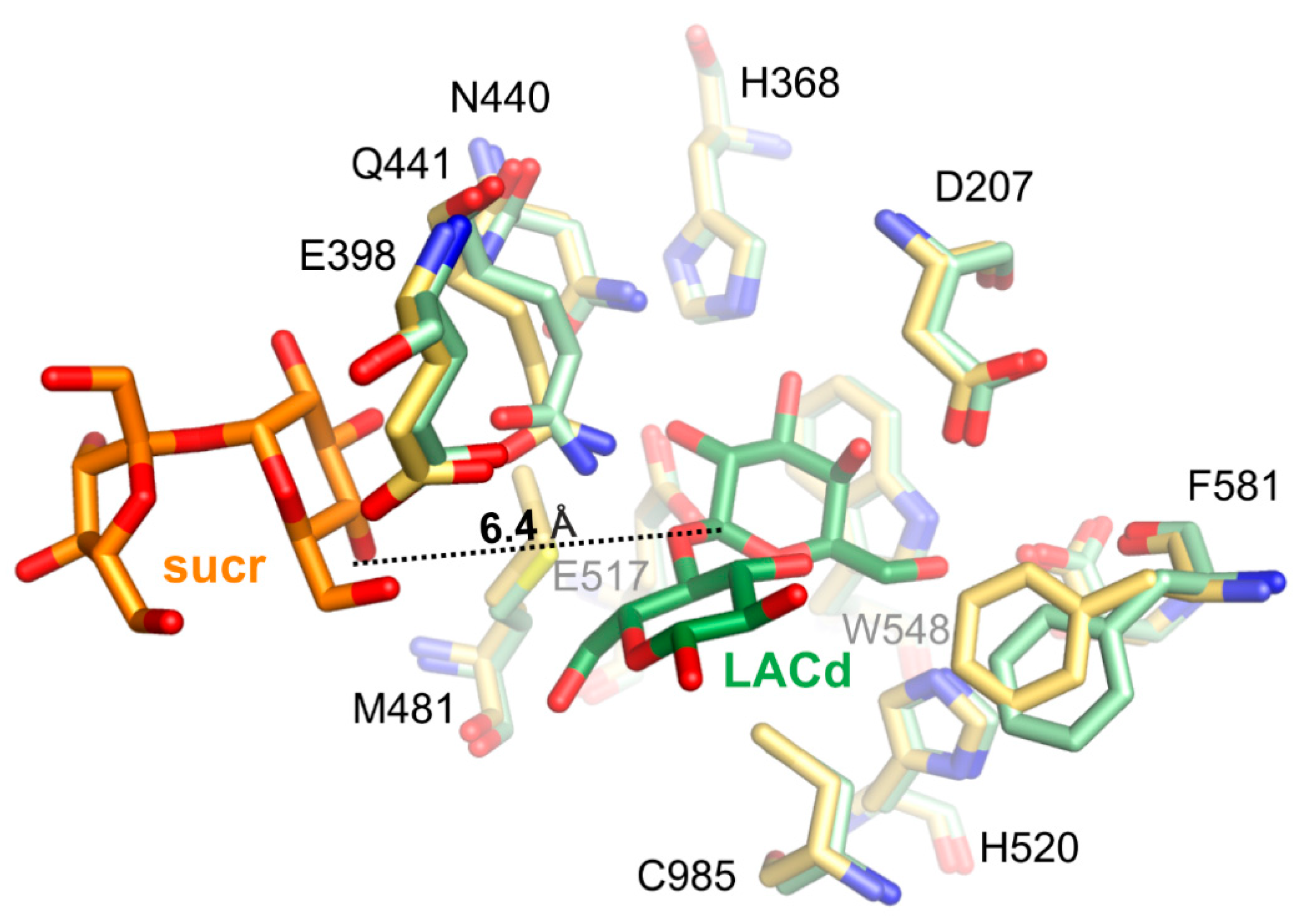 Ijms 21 05354 g007 Ijms 21 05354 g007