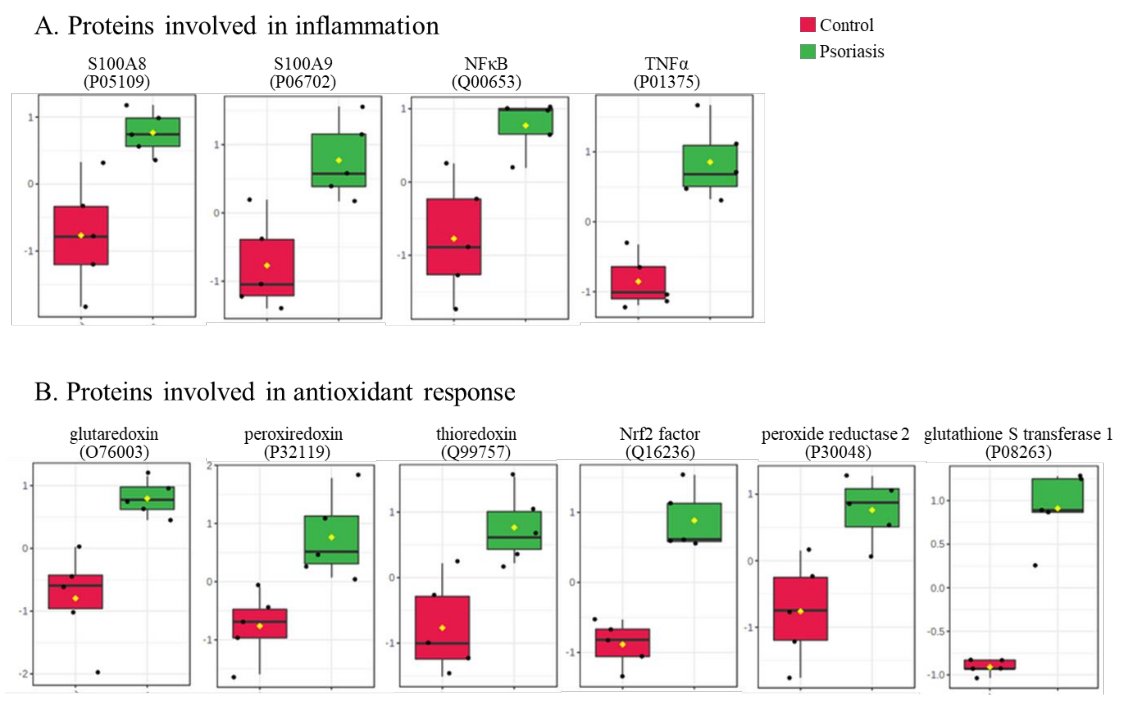 Ijms 21 05363 g005 Ijms 21 05363 g005