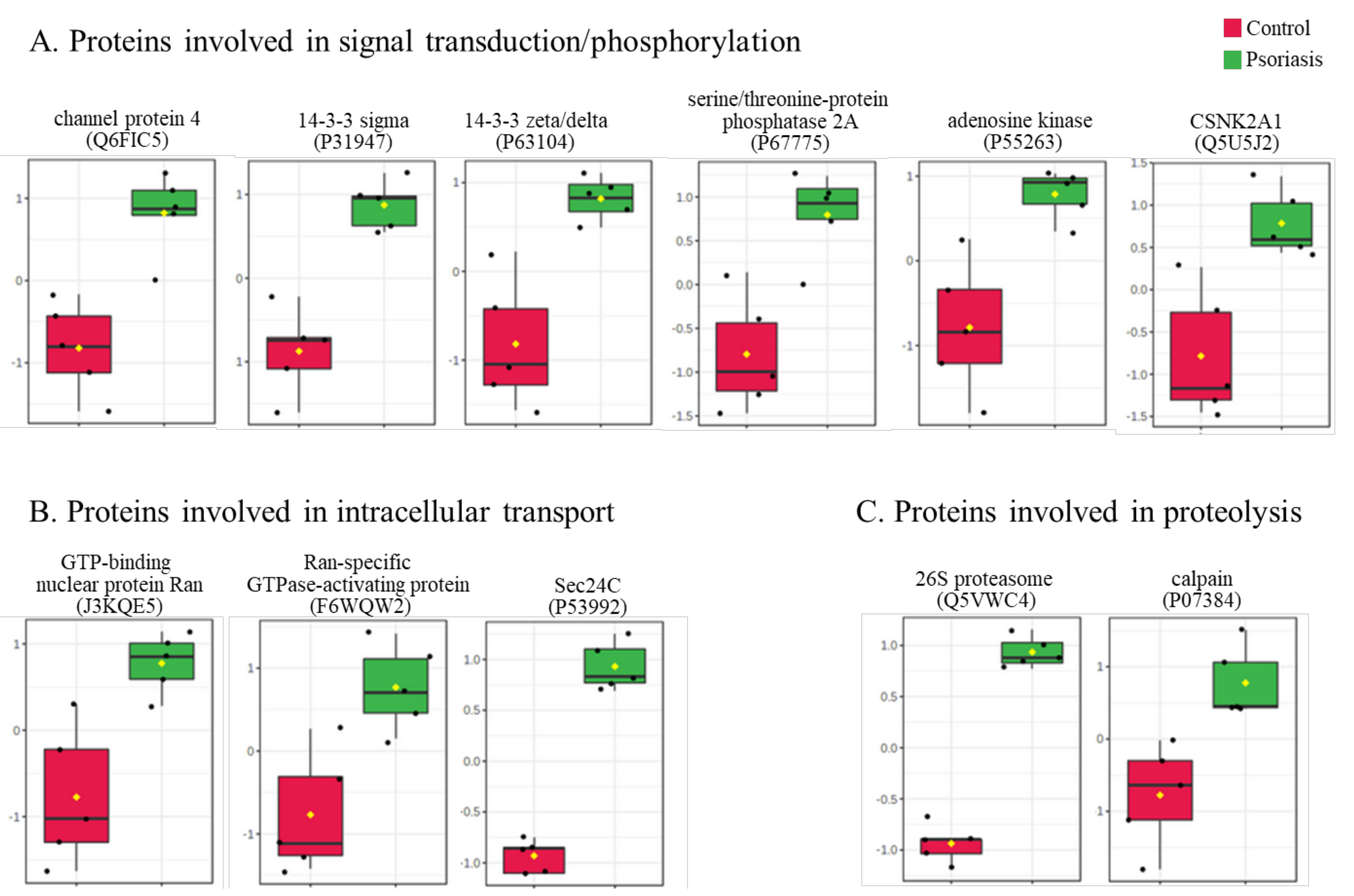 Ijms 21 05363 g006 Ijms 21 05363 g006