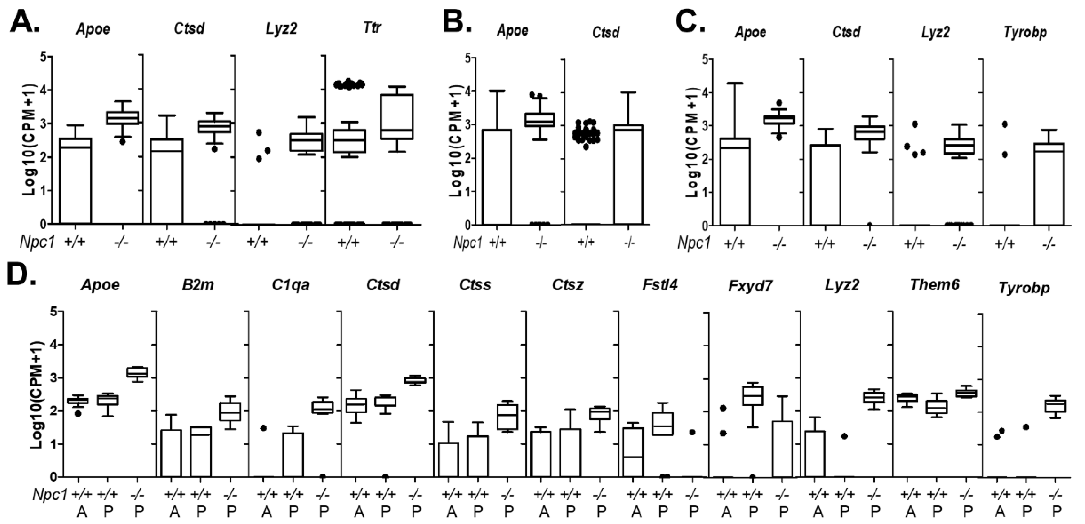 Ijms 21 05368 g005 Ijms 21 05368 g005