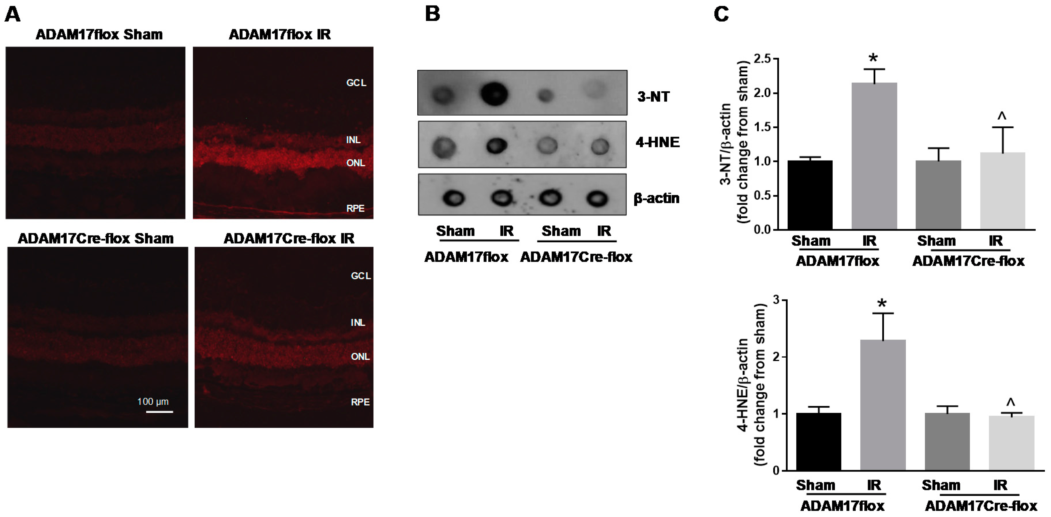 Ijms 21 05379 g006 Ijms 21 05379 g006