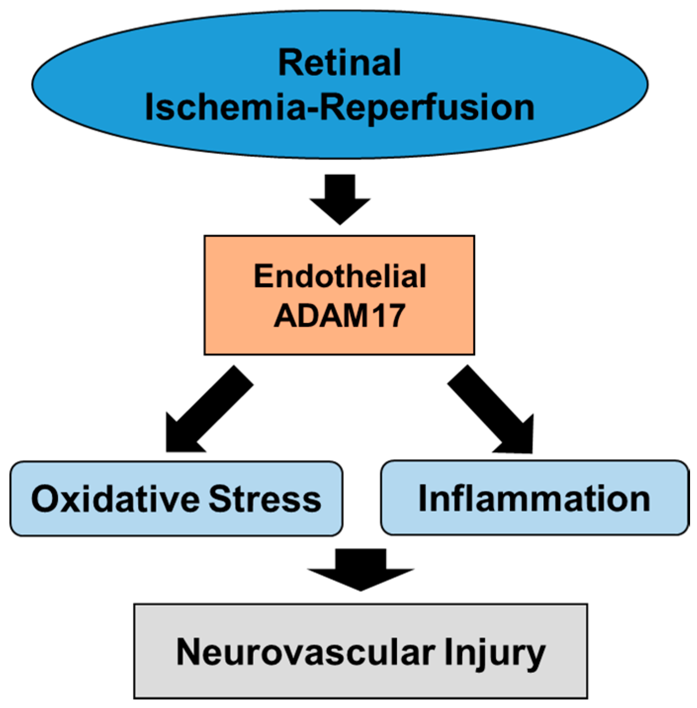Ijms 21 05379 g009 Ijms 21 05379 g009