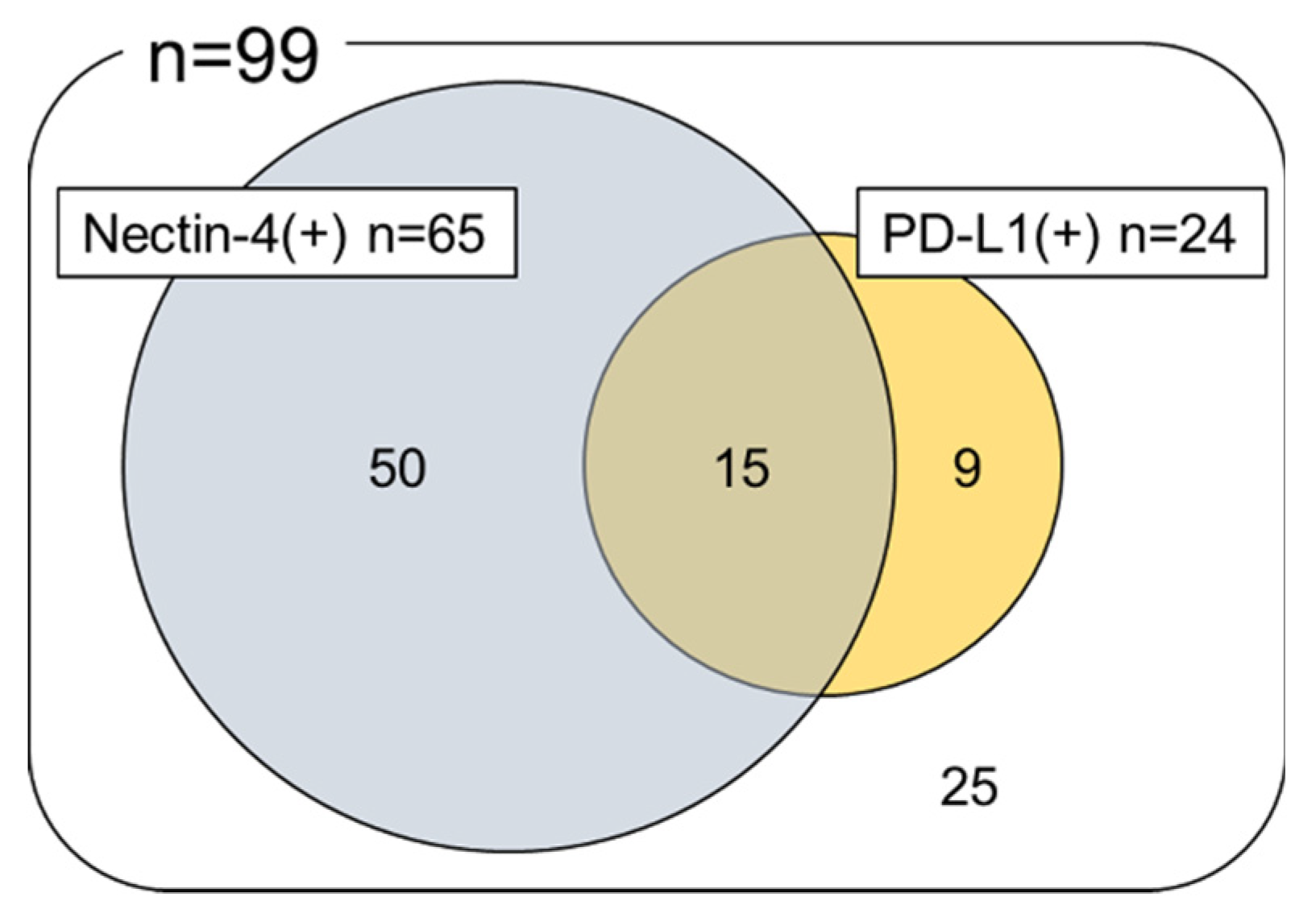 Ijms 21 05390 g003 Ijms 21 05390 g003