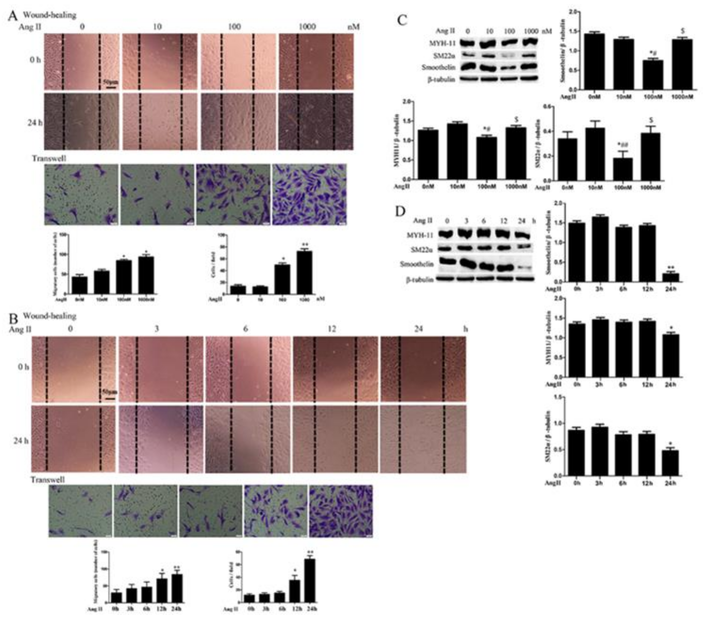 Ijms 21 05398 g001 Ijms 21 05398 g001