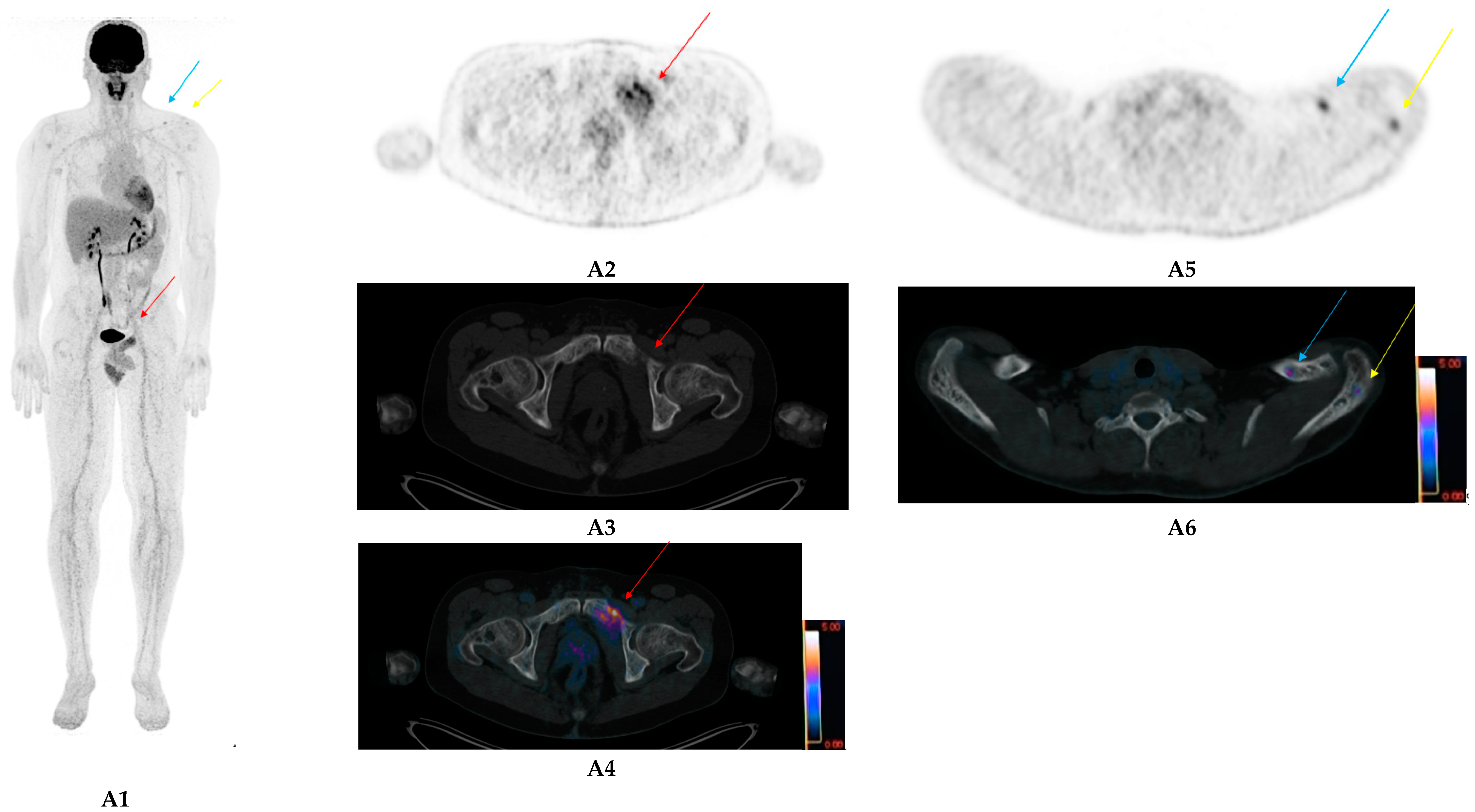 Ijms 21 05406 g001a Ijms 21 05406 g001a