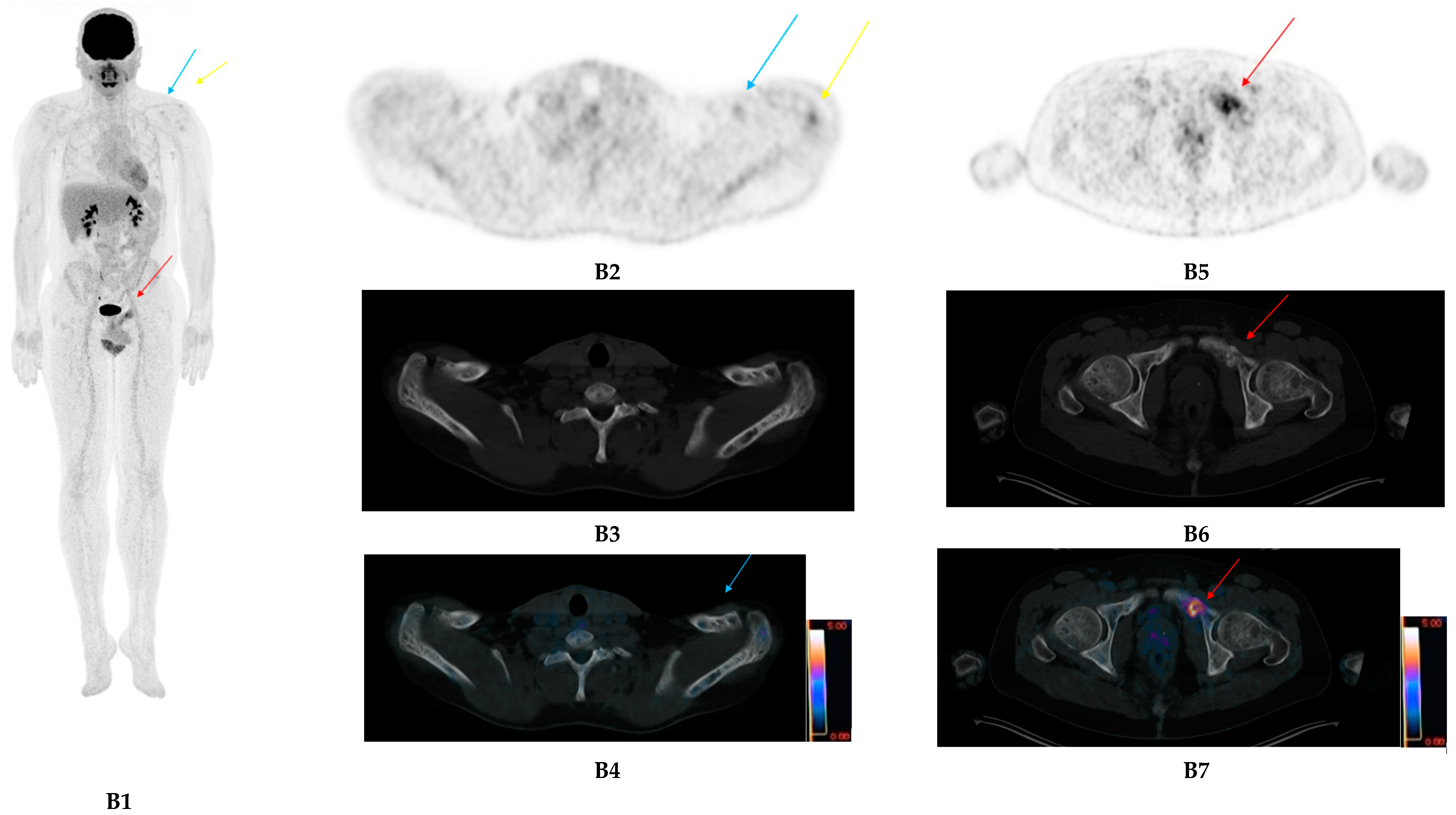 Ijms 21 05406 g001b Ijms 21 05406 g001b