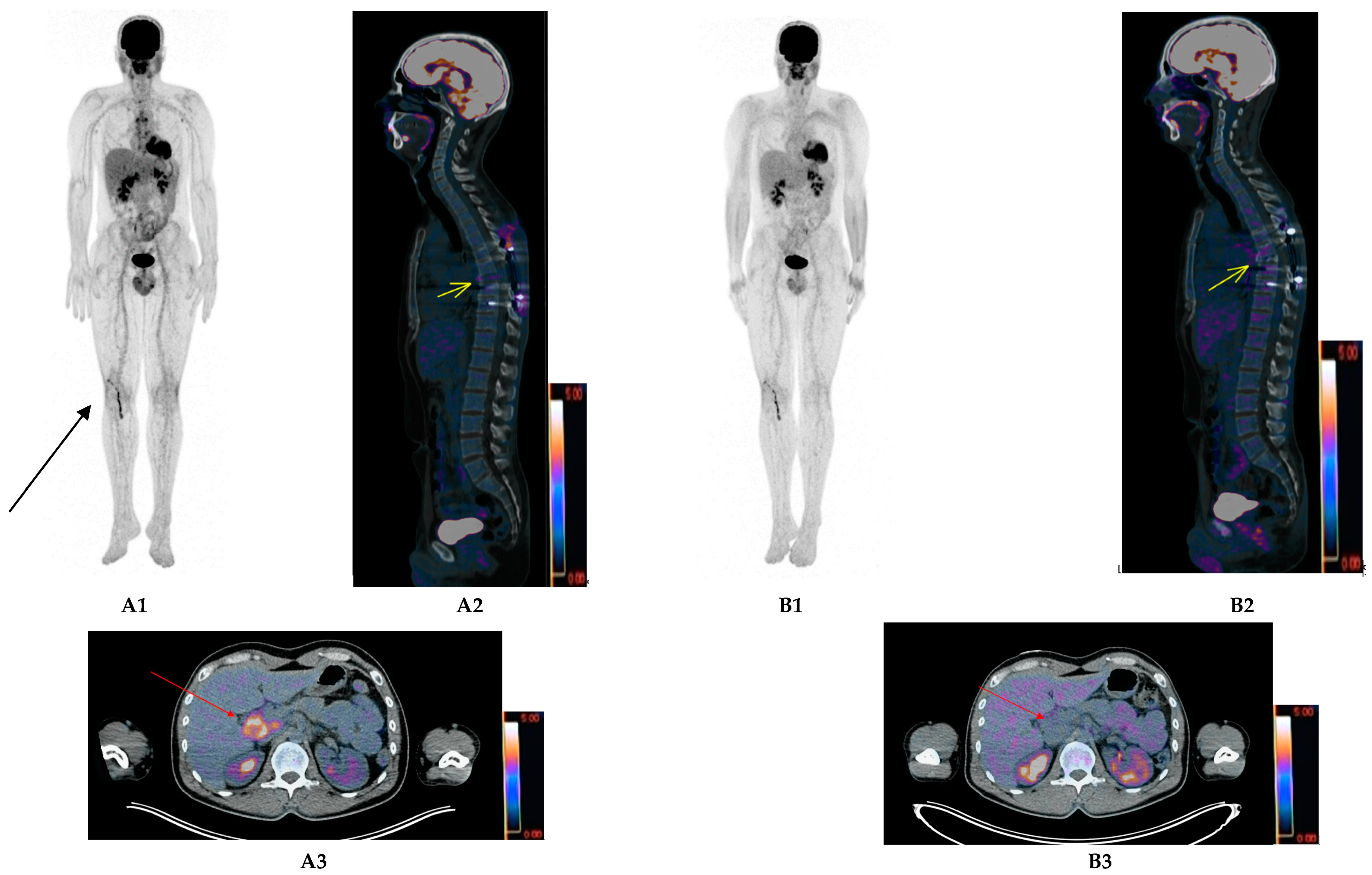 Ijms 21 05406 g002 Ijms 21 05406 g002