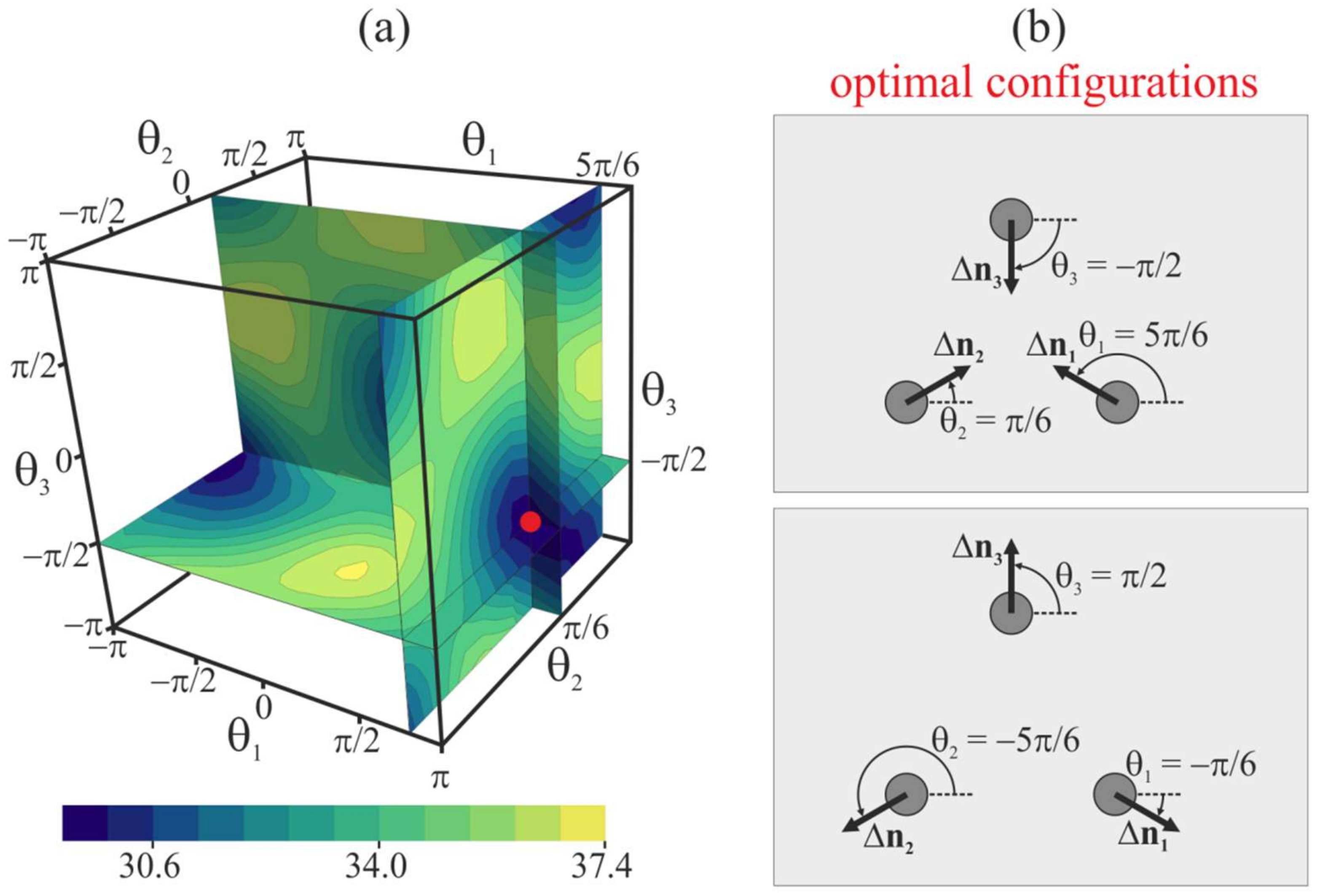 Ijms 21 05411 g008 Ijms 21 05411 g008