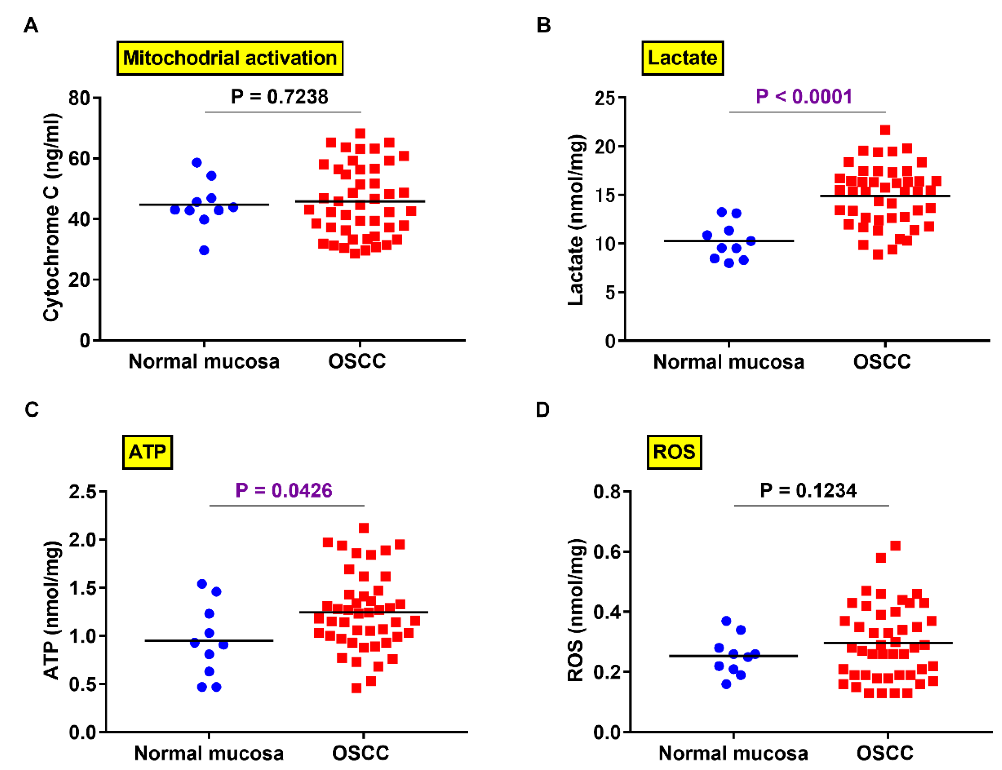 Ijms 21 05416 g005 Ijms 21 05416 g005