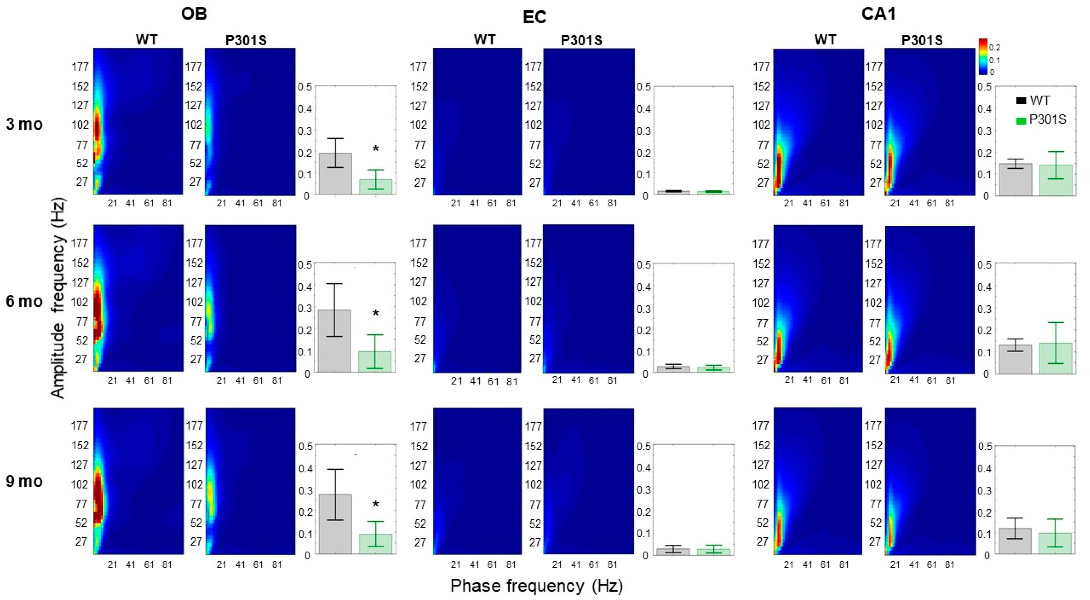 Ijms 21 05431 g002 Ijms 21 05431 g002