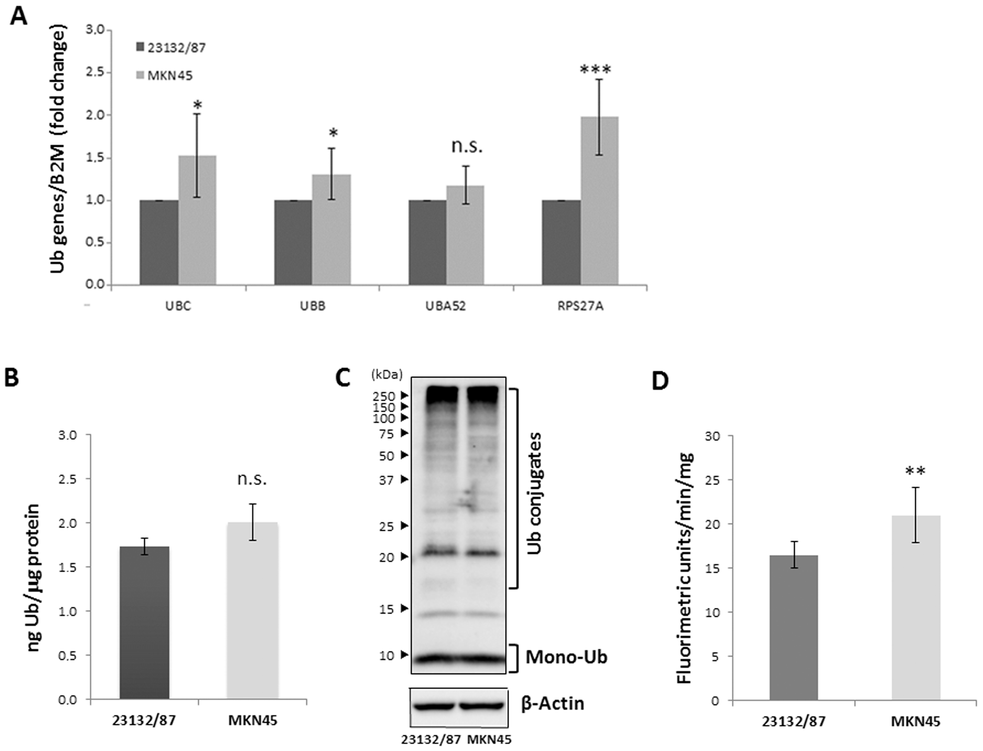 Ijms 21 05435 g001 Ijms 21 05435 g001