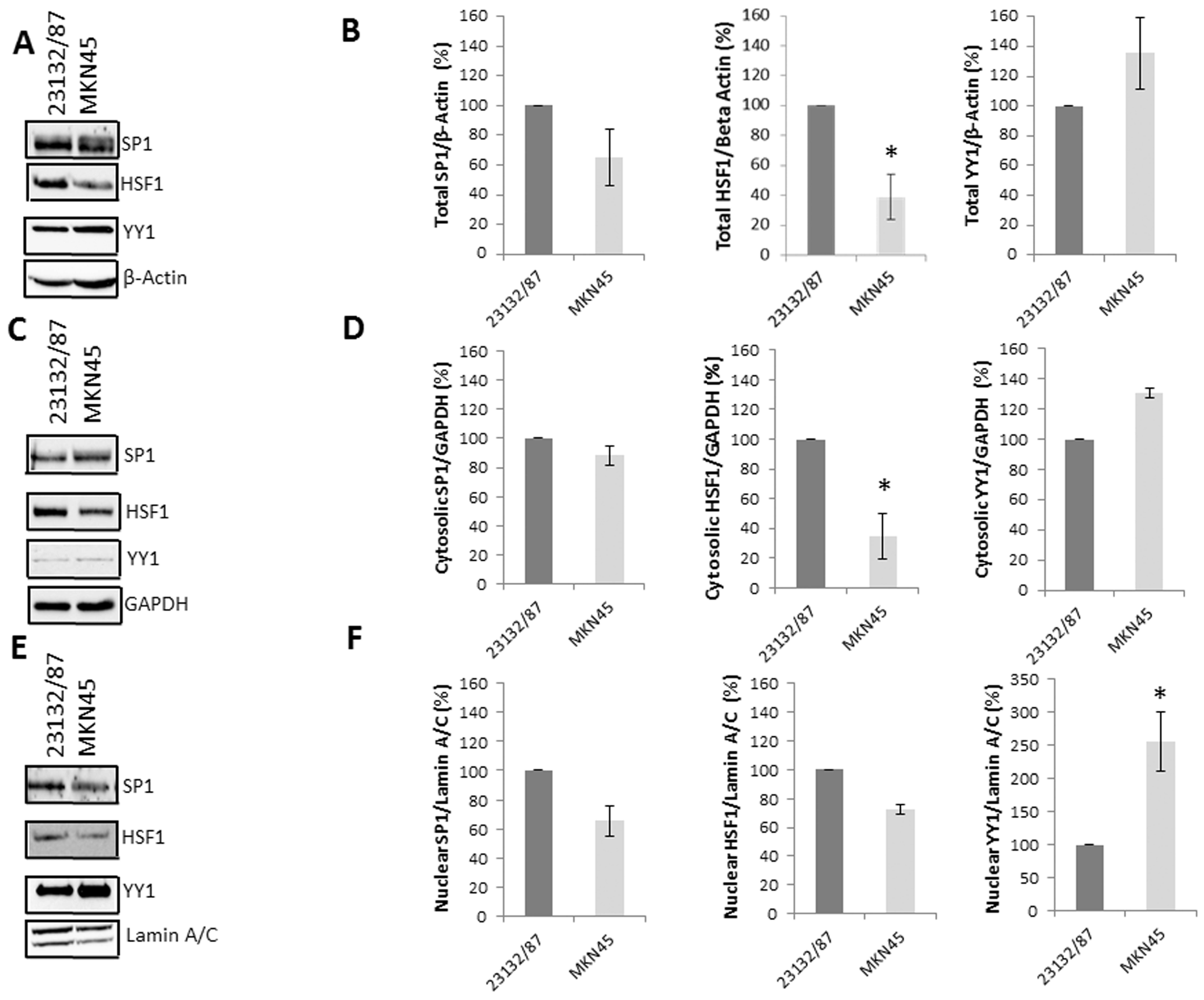 Ijms 21 05435 g002 Ijms 21 05435 g002