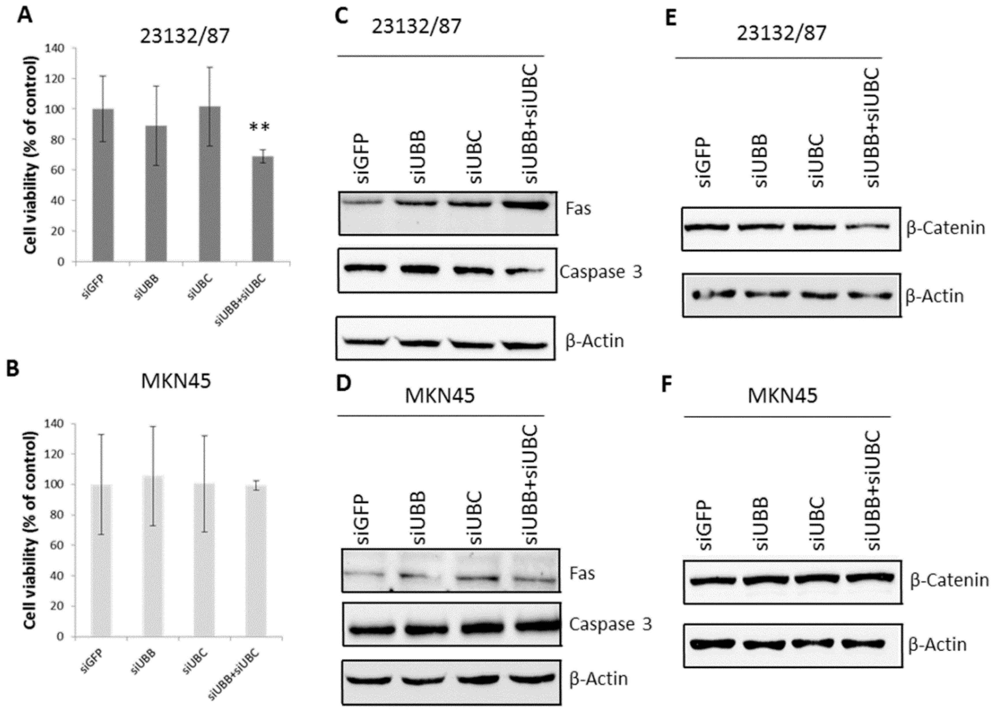 Ijms 21 05435 g005 Ijms 21 05435 g005