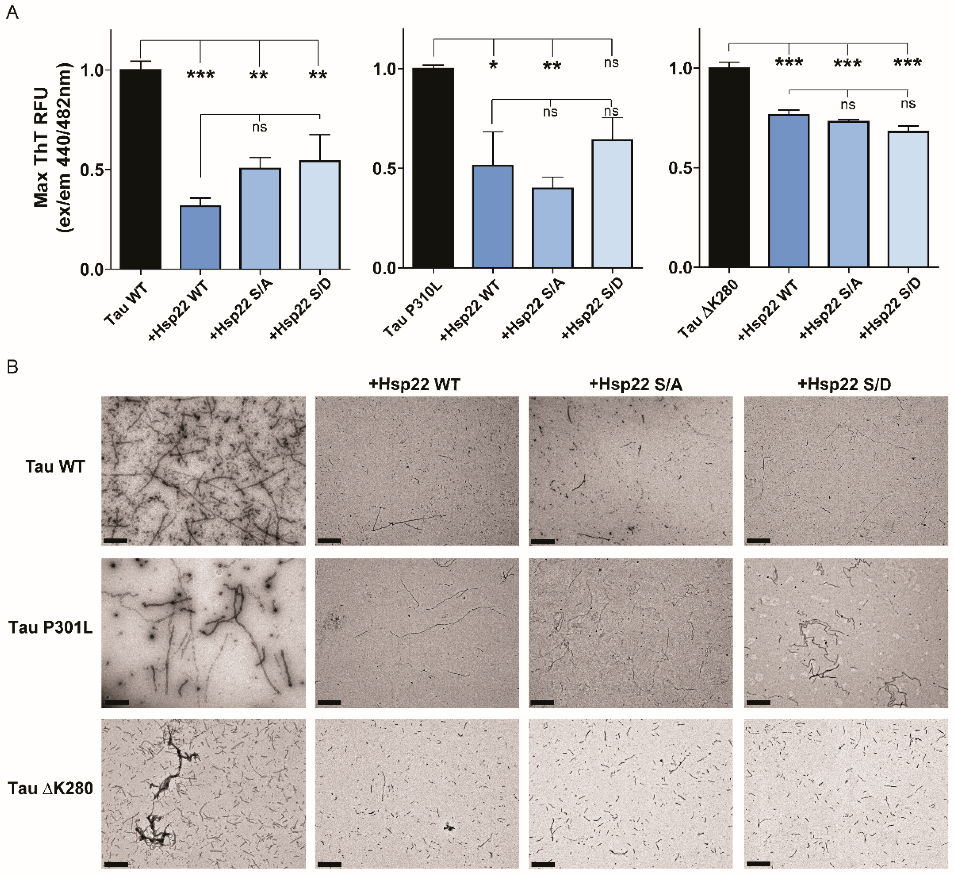 Ijms 21 05442 g003 Ijms 21 05442 g003