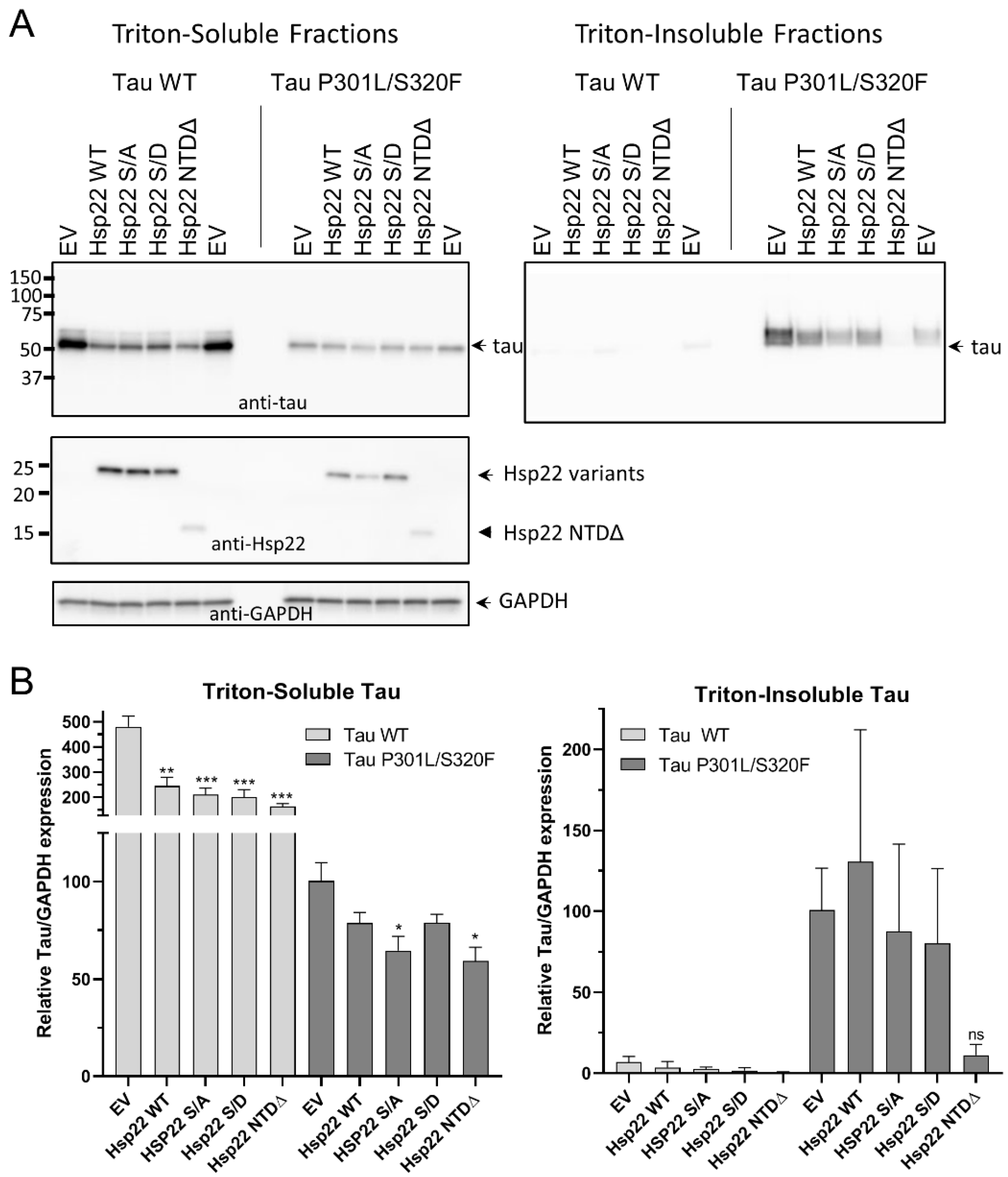 Ijms 21 05442 g006 Ijms 21 05442 g006