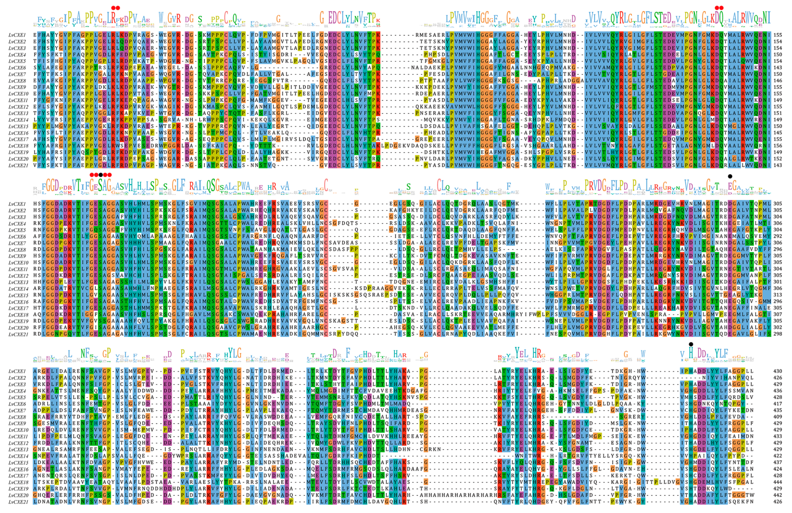 Ijms 21 05444 g003 Ijms 21 05444 g003