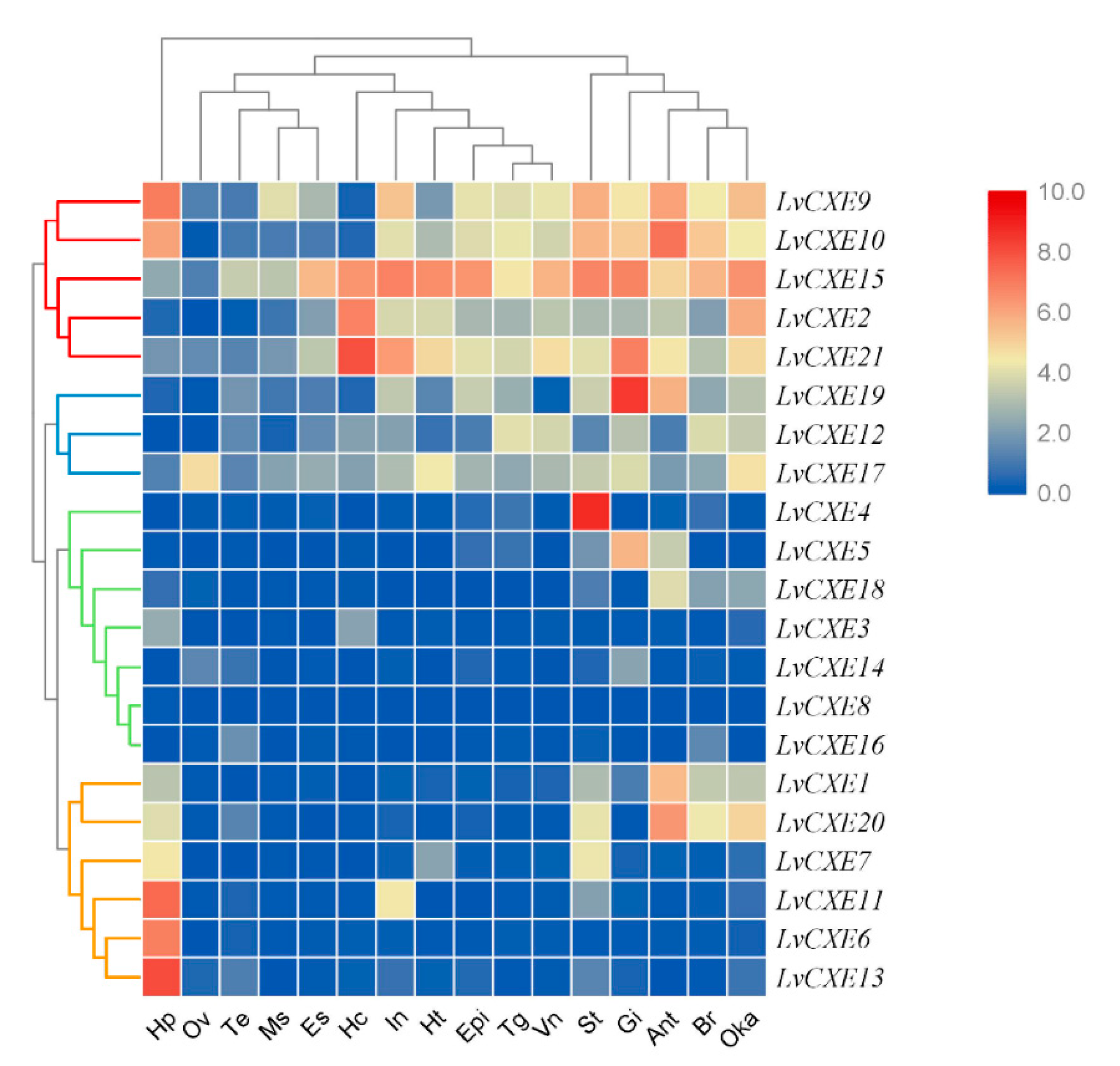 Ijms 21 05444 g005 Ijms 21 05444 g005