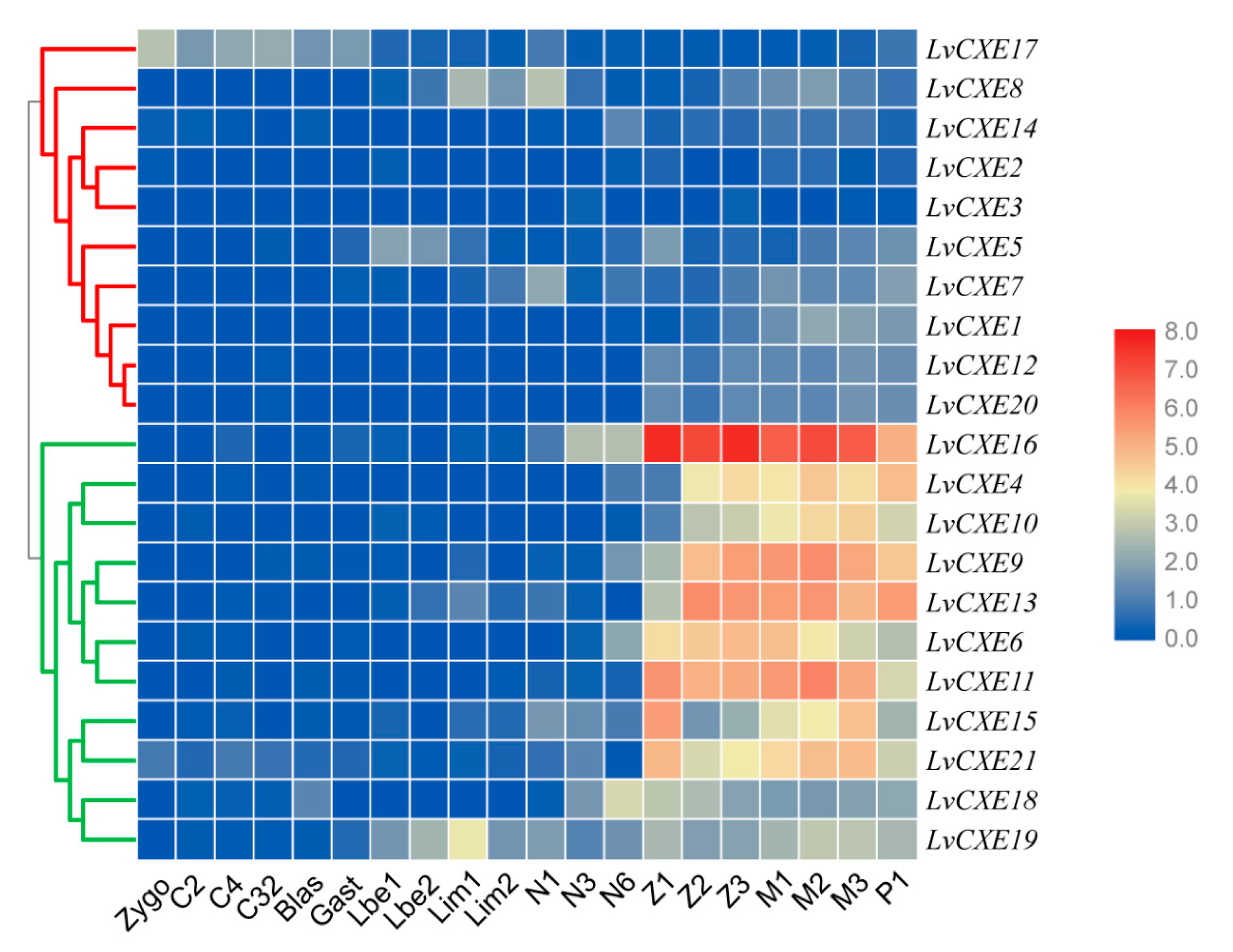 Ijms 21 05444 g006 Ijms 21 05444 g006