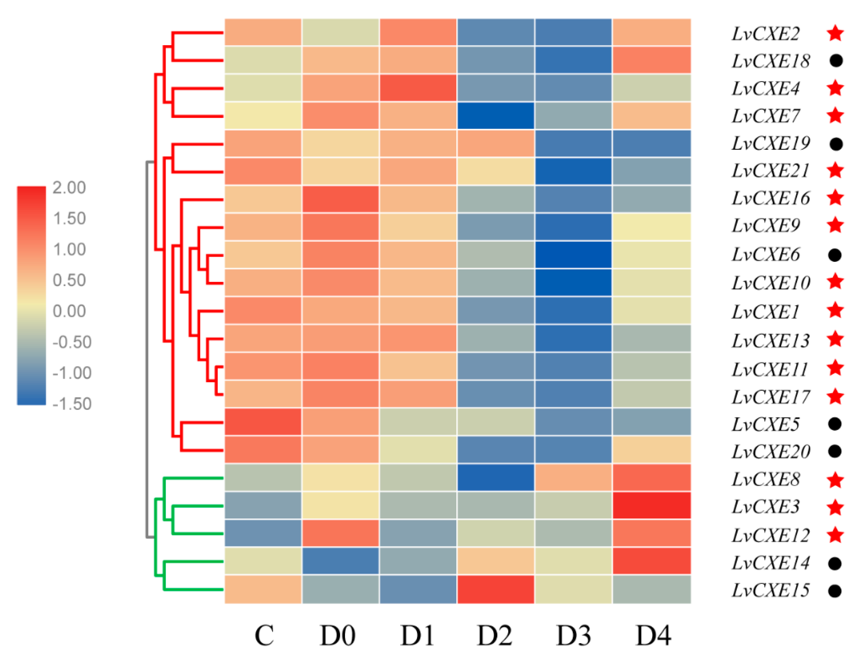Ijms 21 05444 g007 Ijms 21 05444 g007