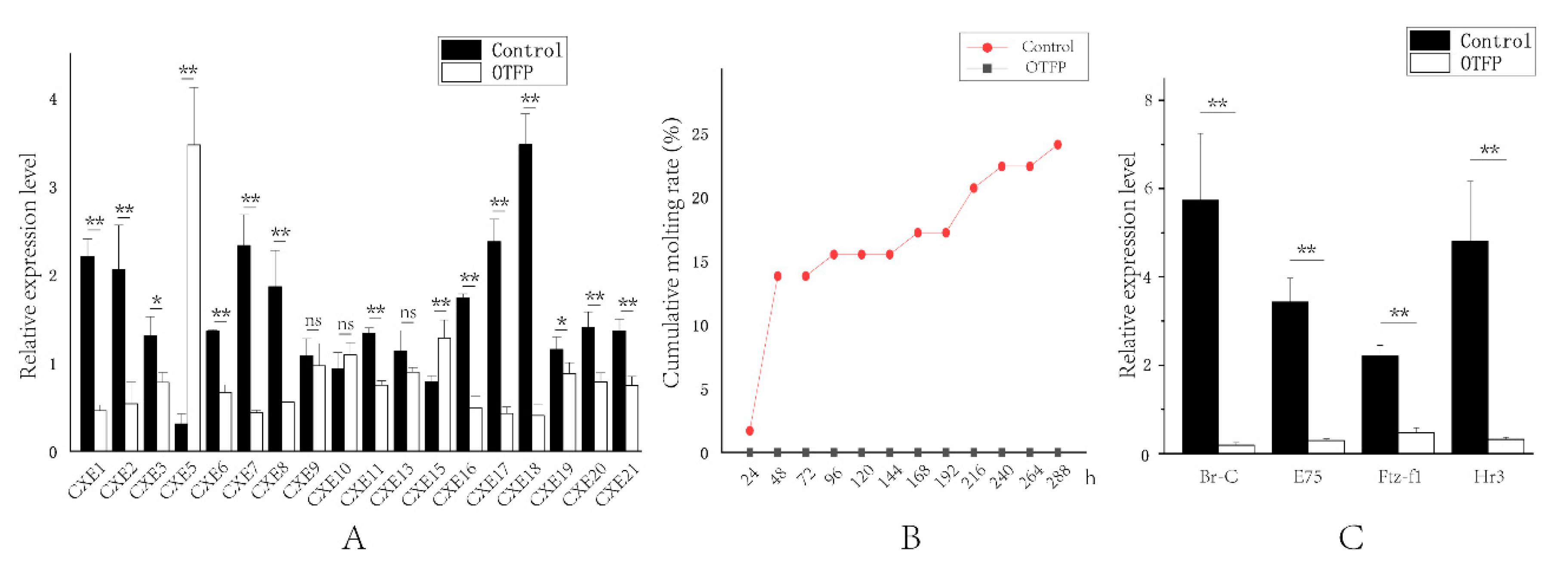 Ijms 21 05444 g008 Ijms 21 05444 g008