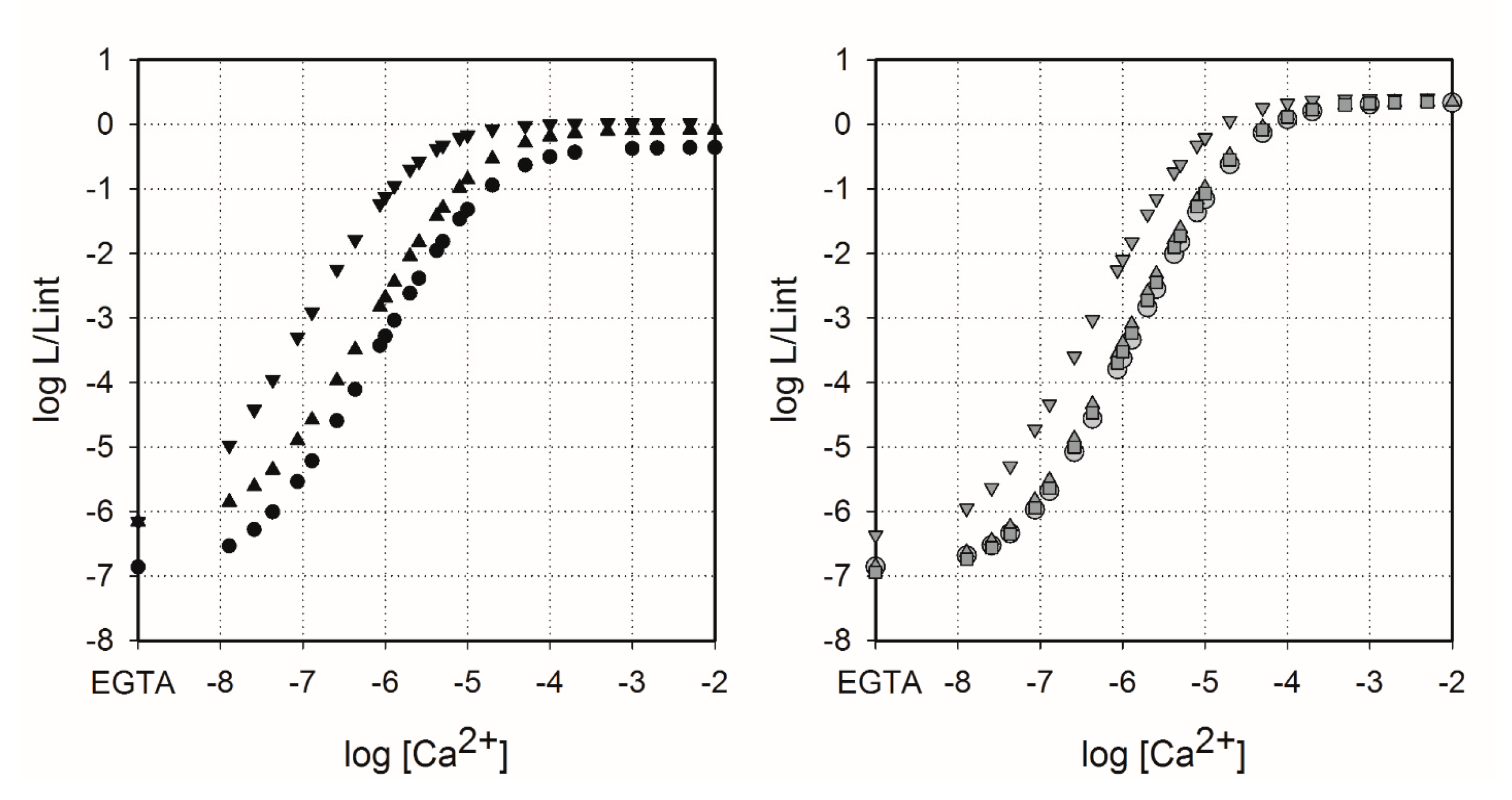 Ijms 21 05446 g003 Ijms 21 05446 g003