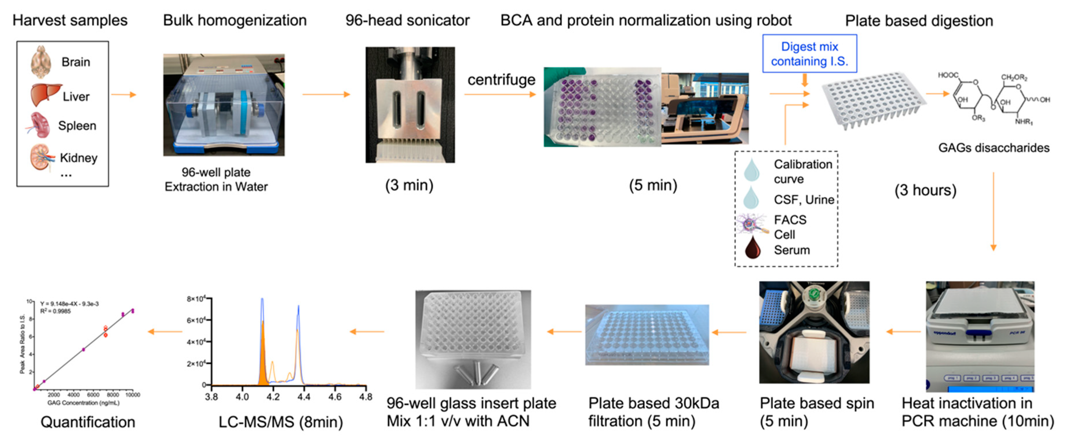 Ijms Free Full Text High Throughput Liquid Chromatography Tandem Mass Spectrometry Quantification Of Glycosaminoglycans As Biomarkers Of Mucopolysaccharidosis Ii Html