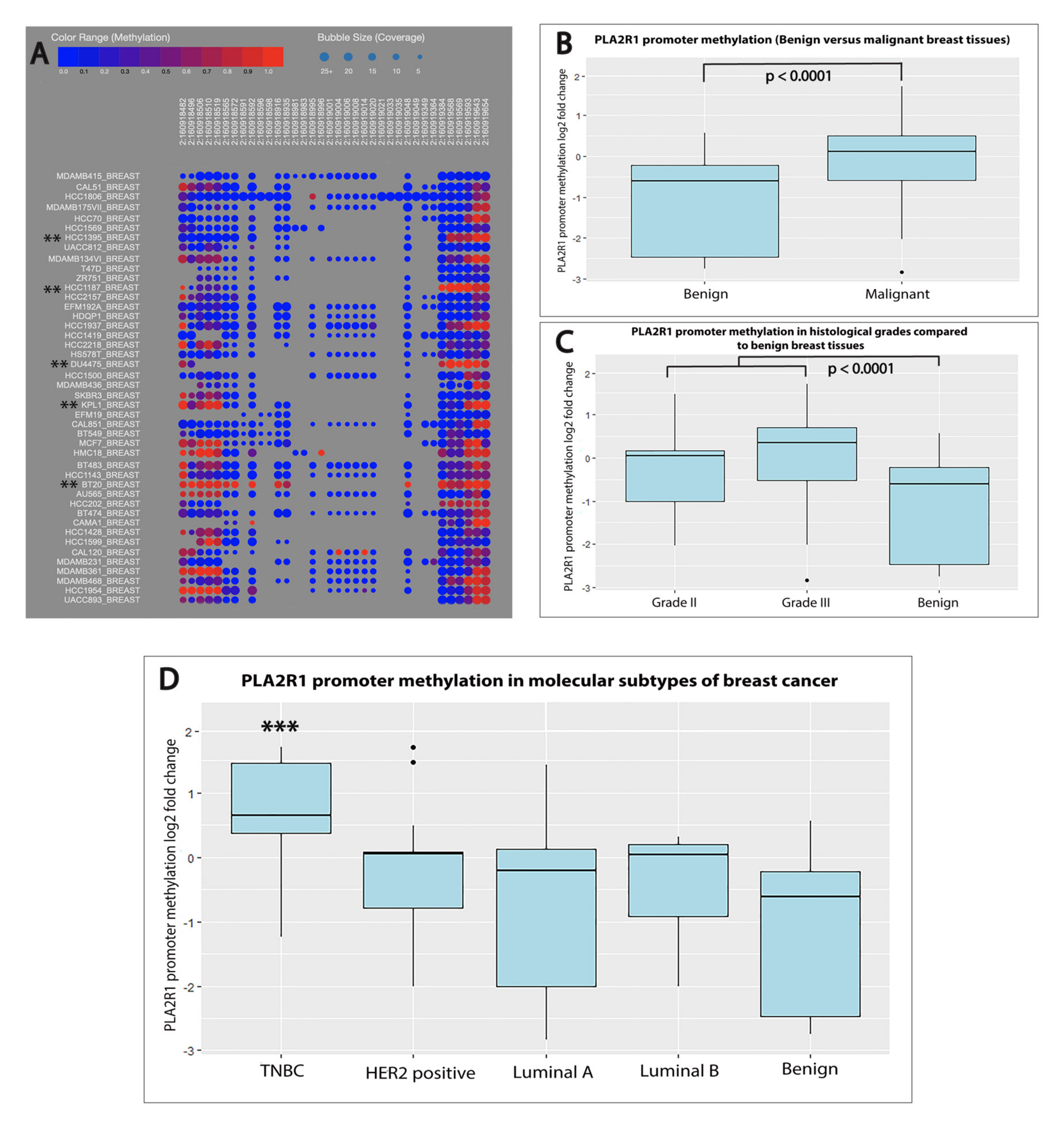 Ijms 21 05453 g003 Ijms 21 05453 g003