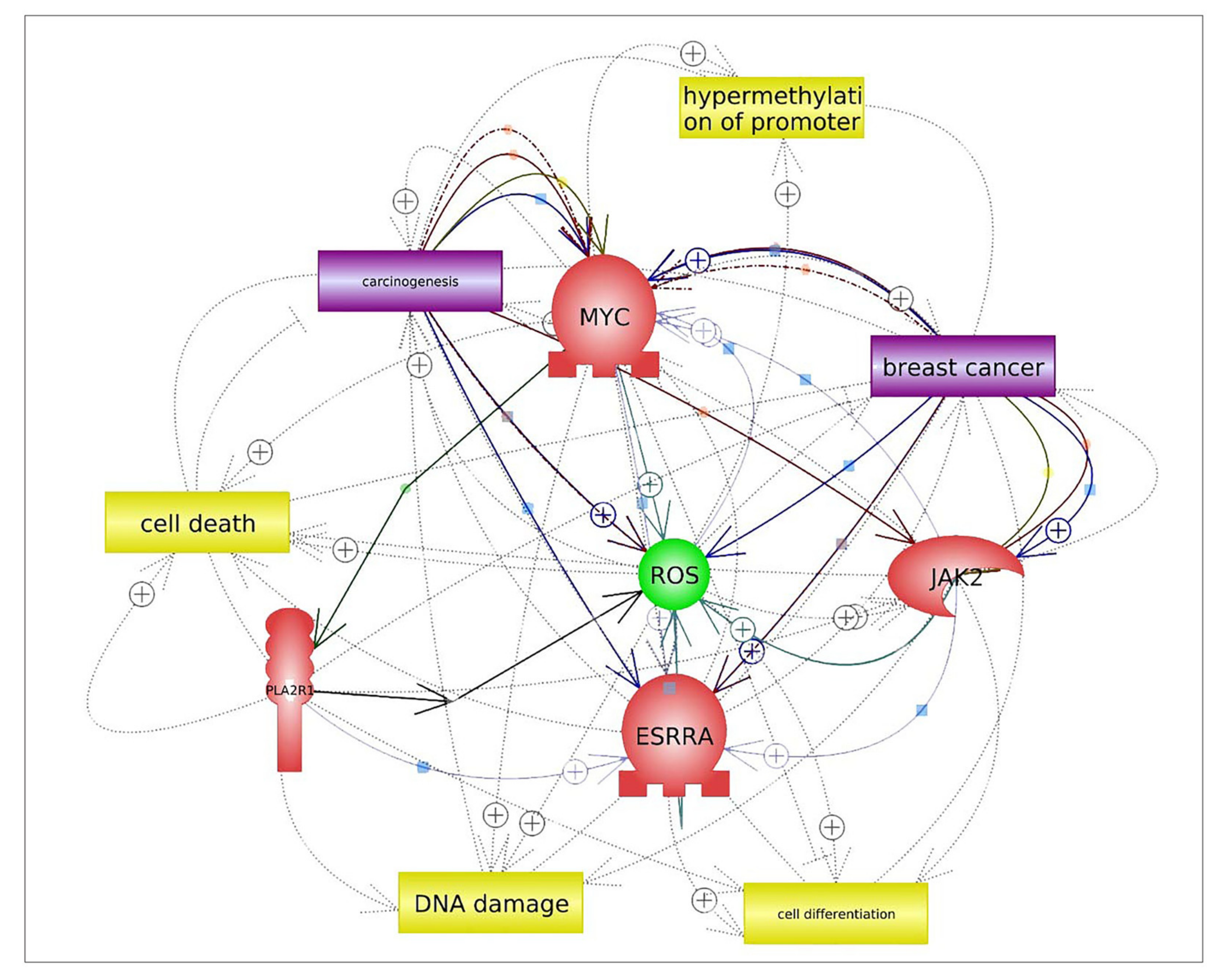 Ijms 21 05453 g005 Ijms 21 05453 g005