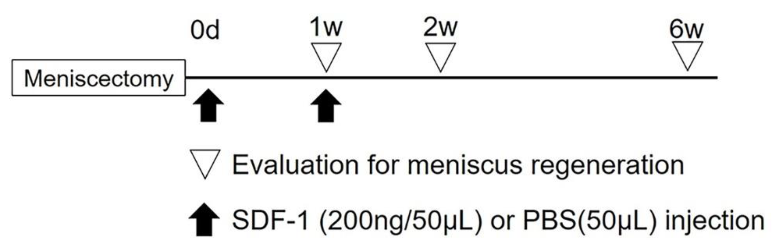Ijms 21 05454 g004 Ijms 21 05454 g004